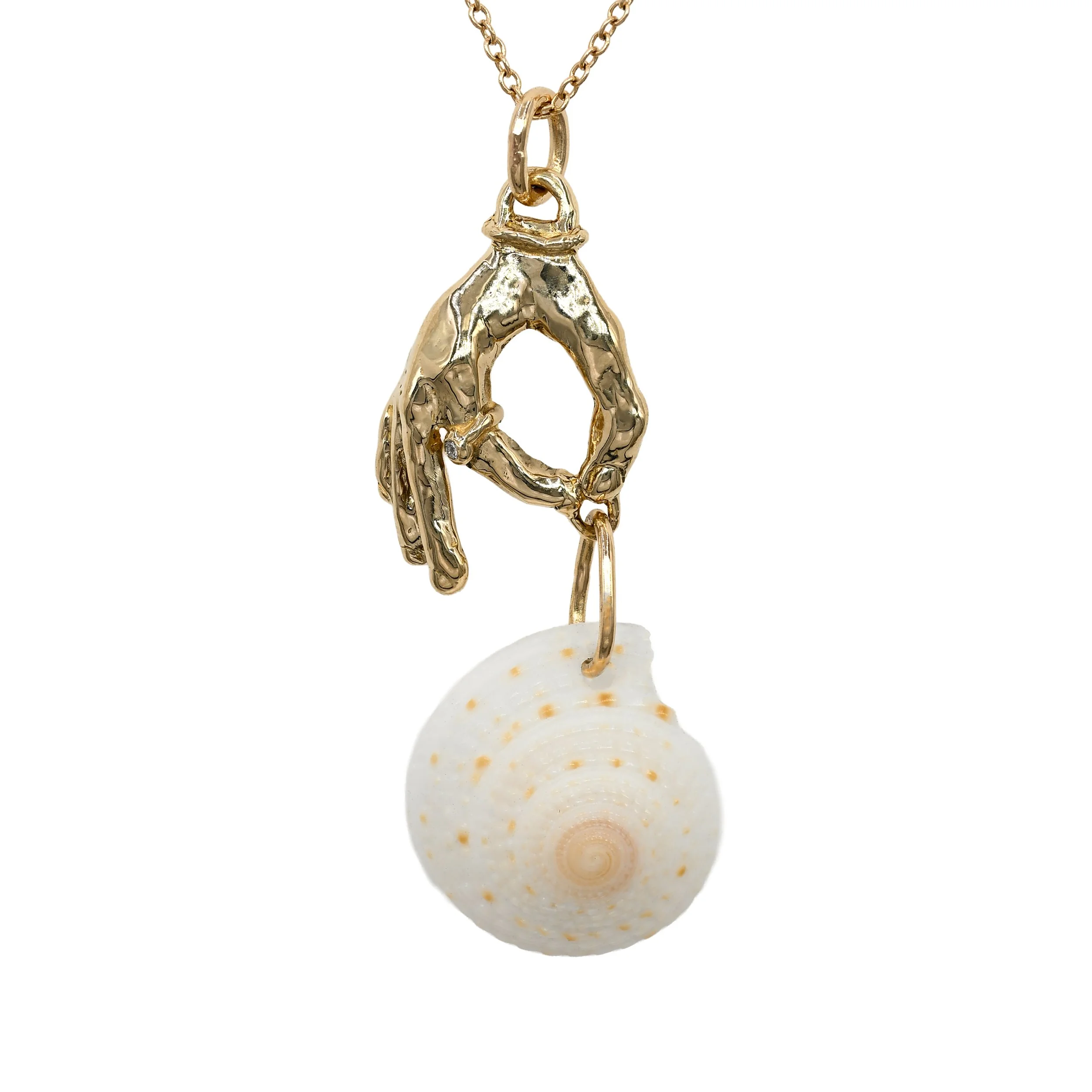 We are the Sea - natural sundial shell