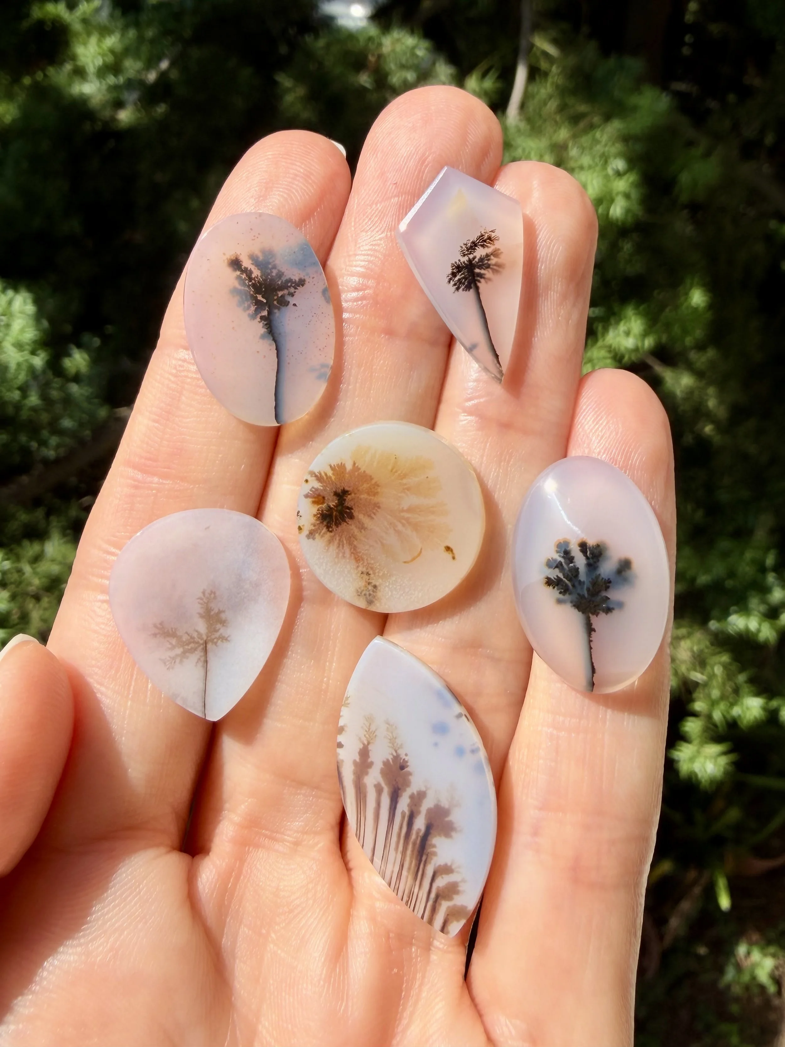Dendritic agate LARGE.jpeg