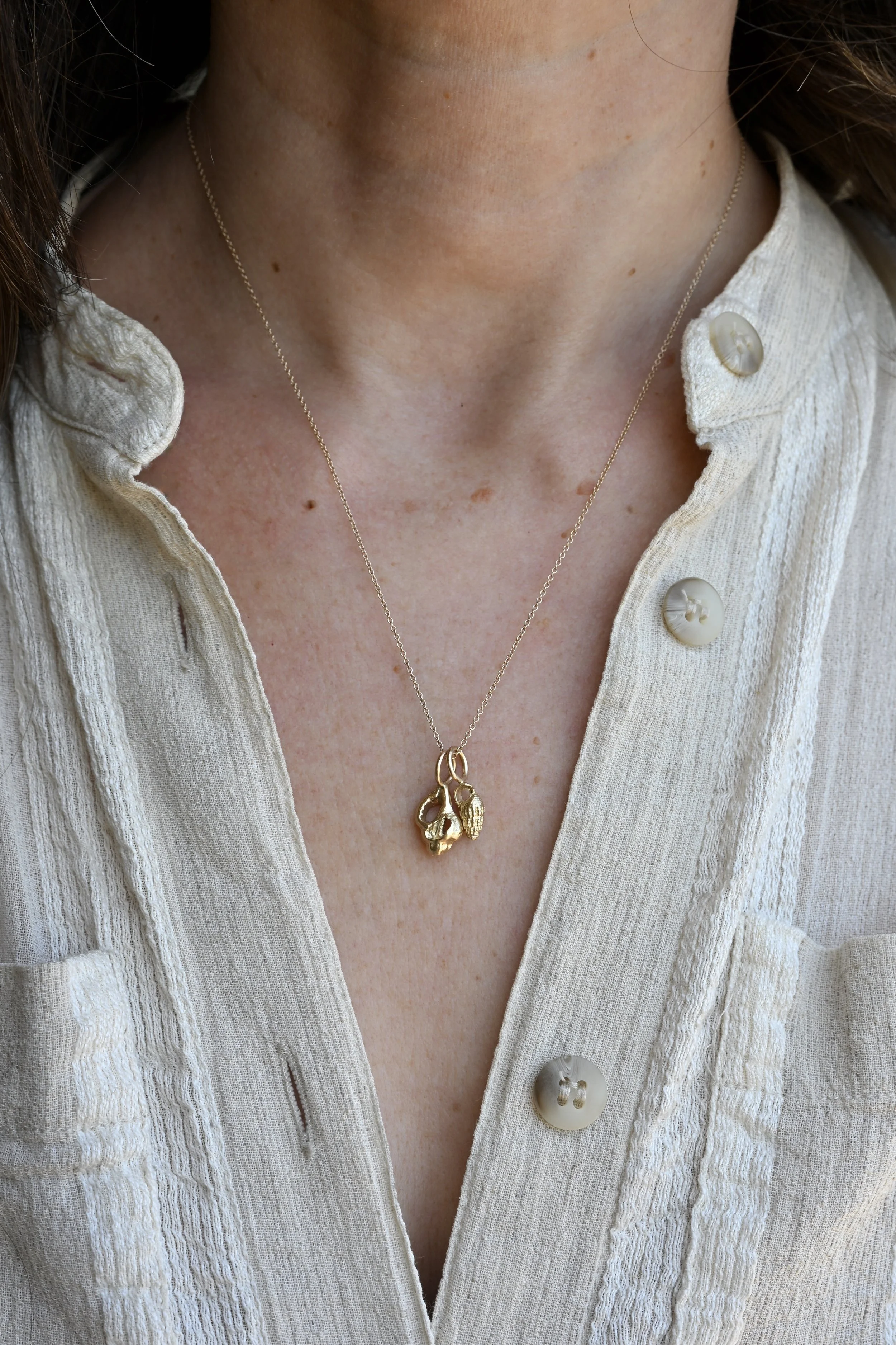 Petite seashells model.JPG