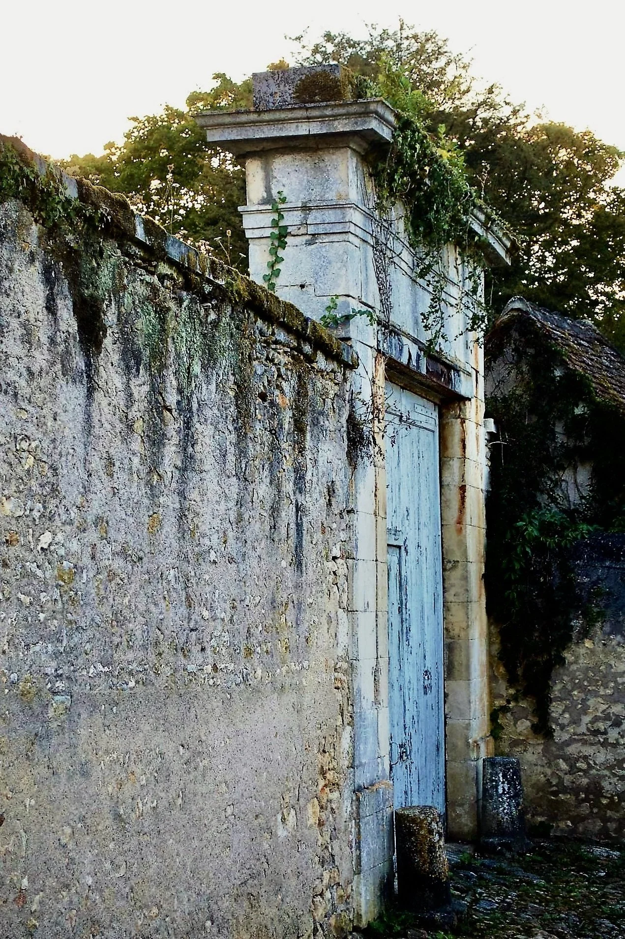 DSC_0085-condensed (3).jpeg