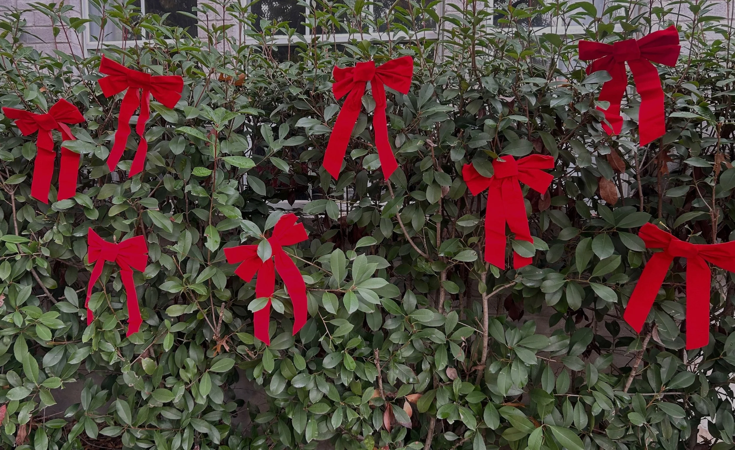 2024 Holiday Gift Guide