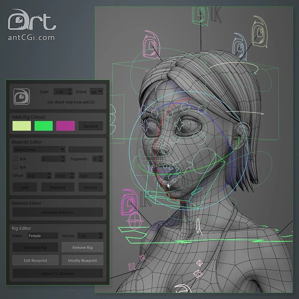 antCGi Store — antCGi