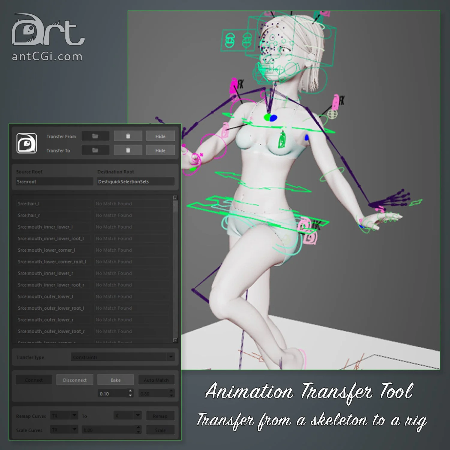 anim_transfer_2.jpg