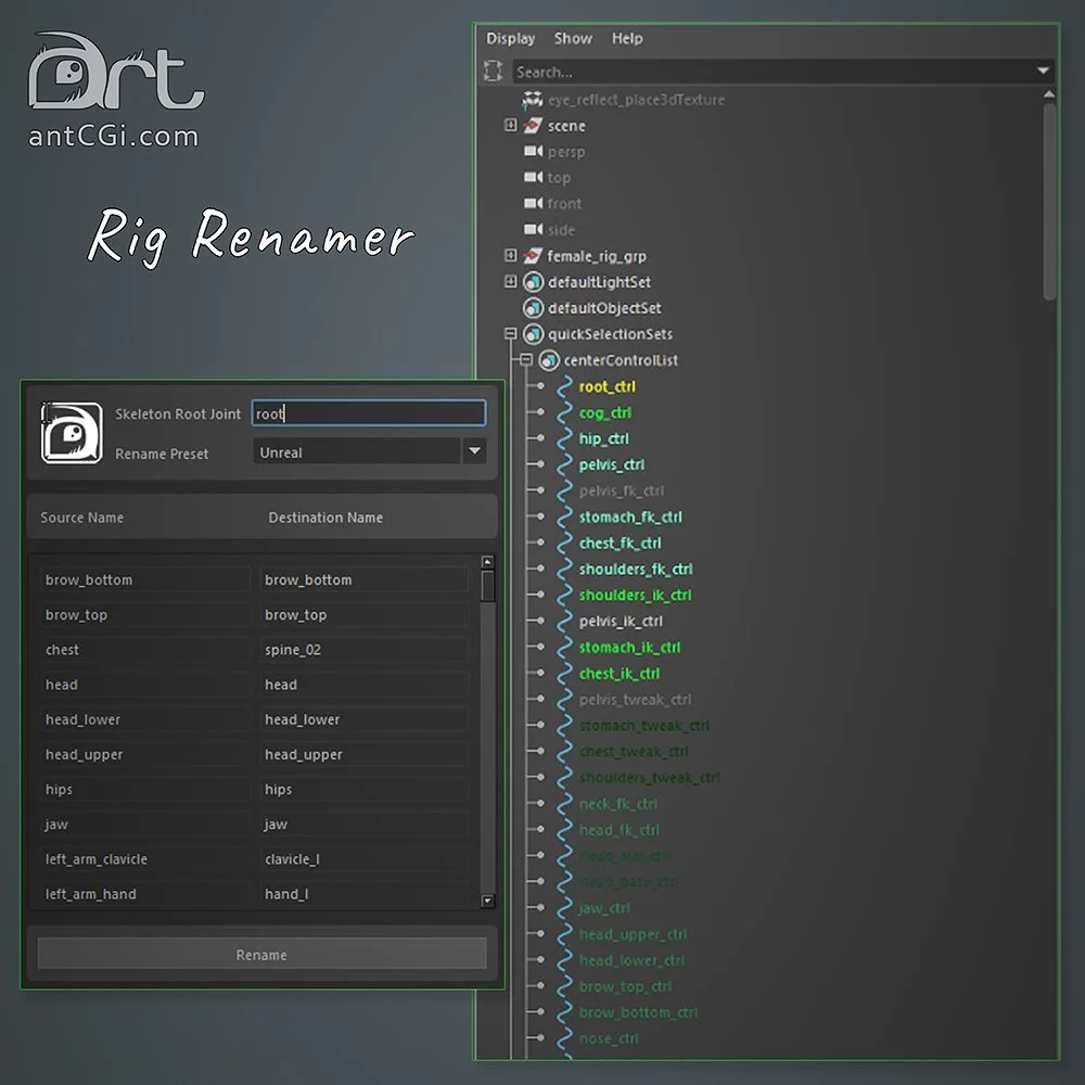 antCGi Store — antCGi