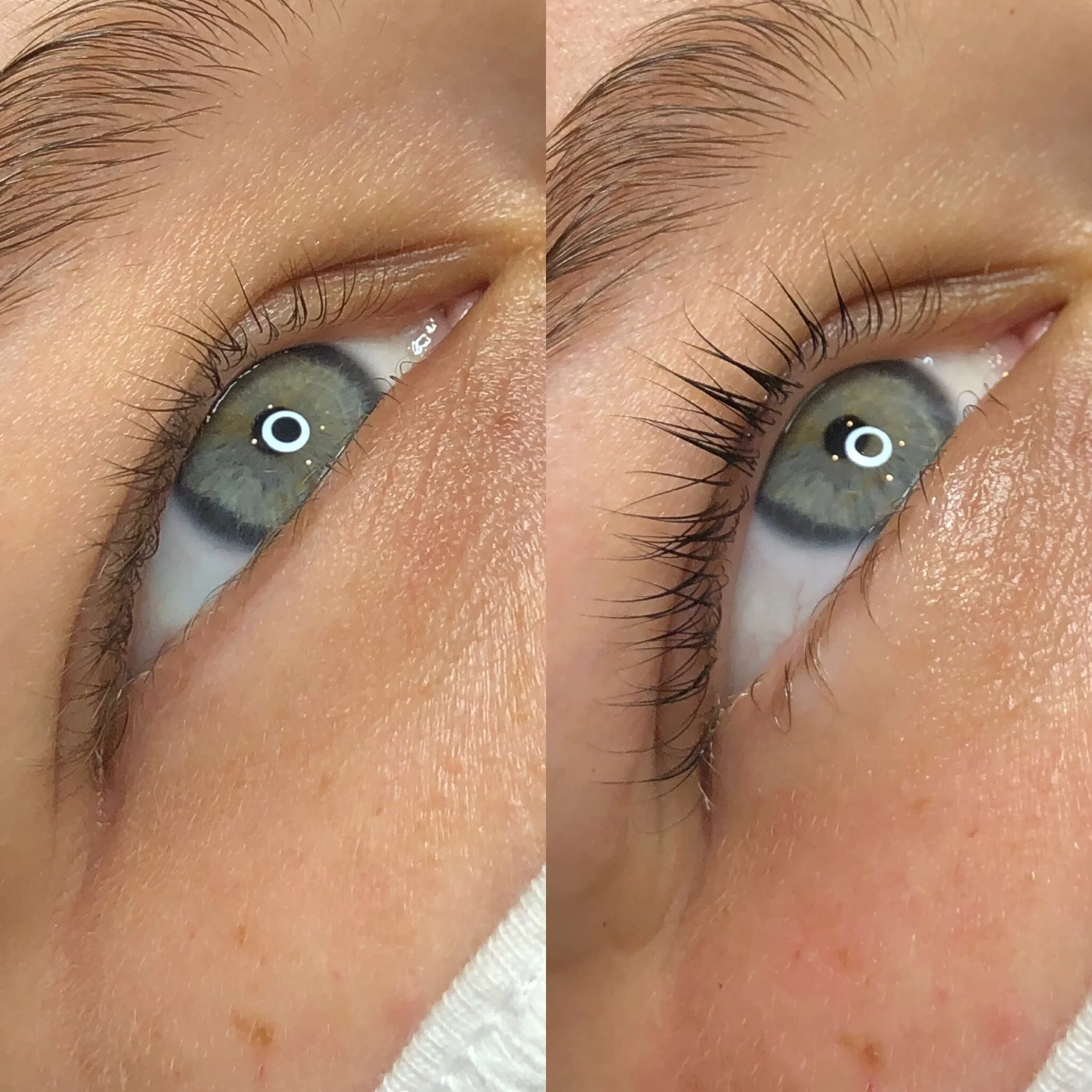 Korean lash lift kirkland, lash lift seattle, seattle lash artist