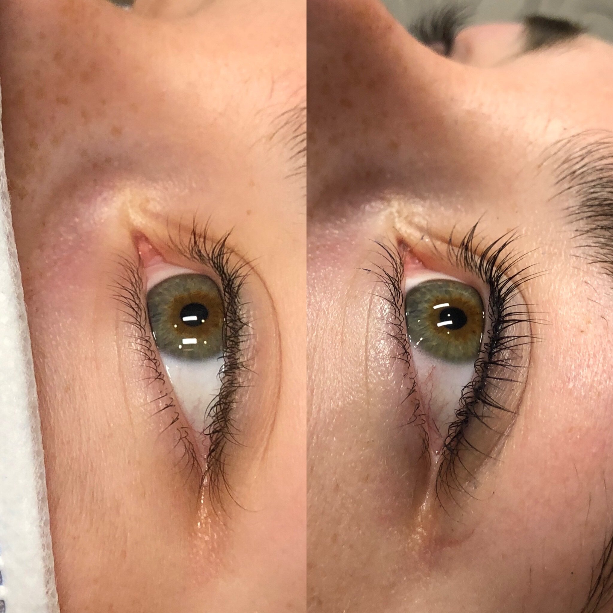 lash lift kirkland, kirkland lashes