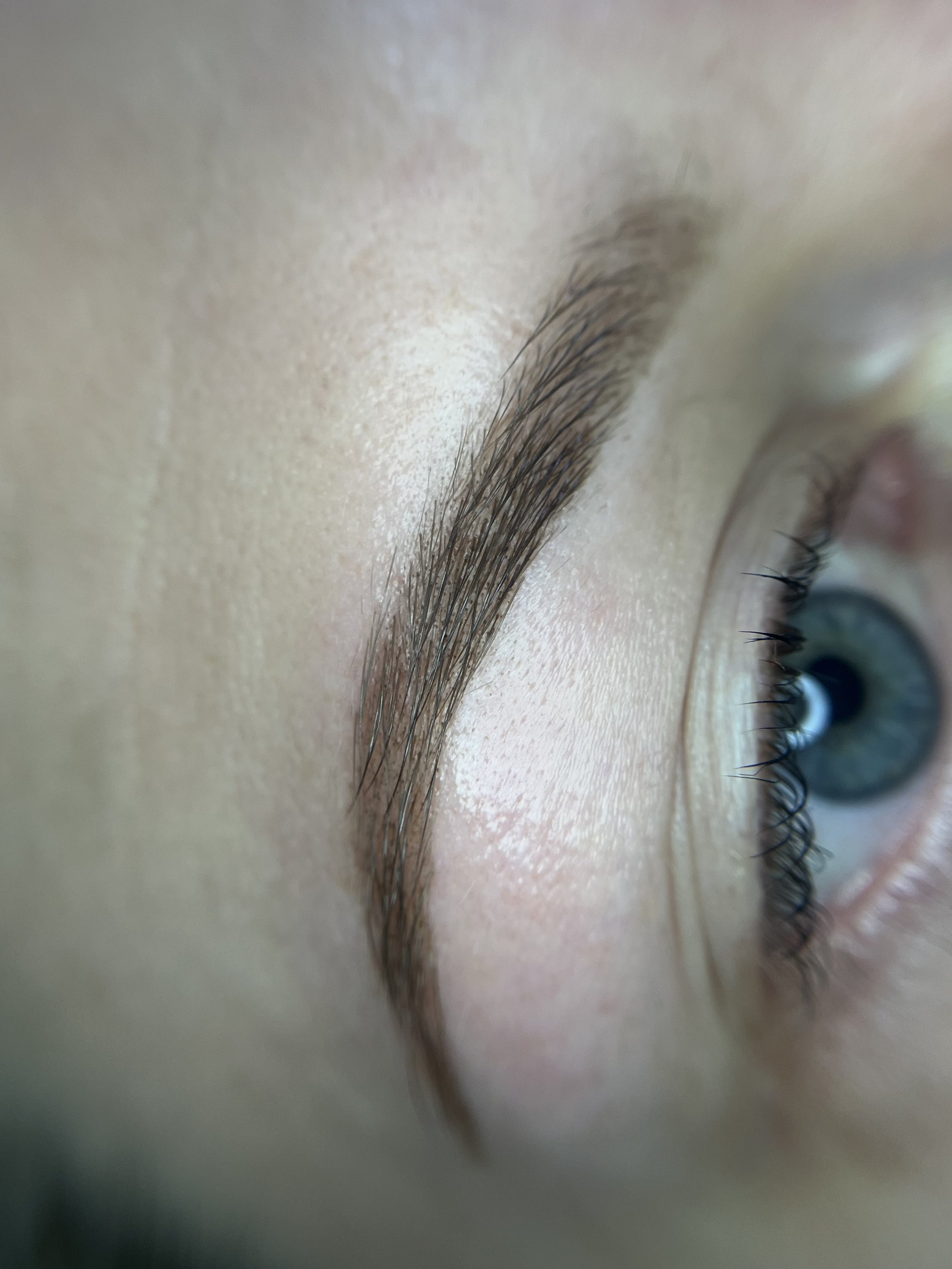 Henna brows in Kirkland, Bellevue, and Seattle