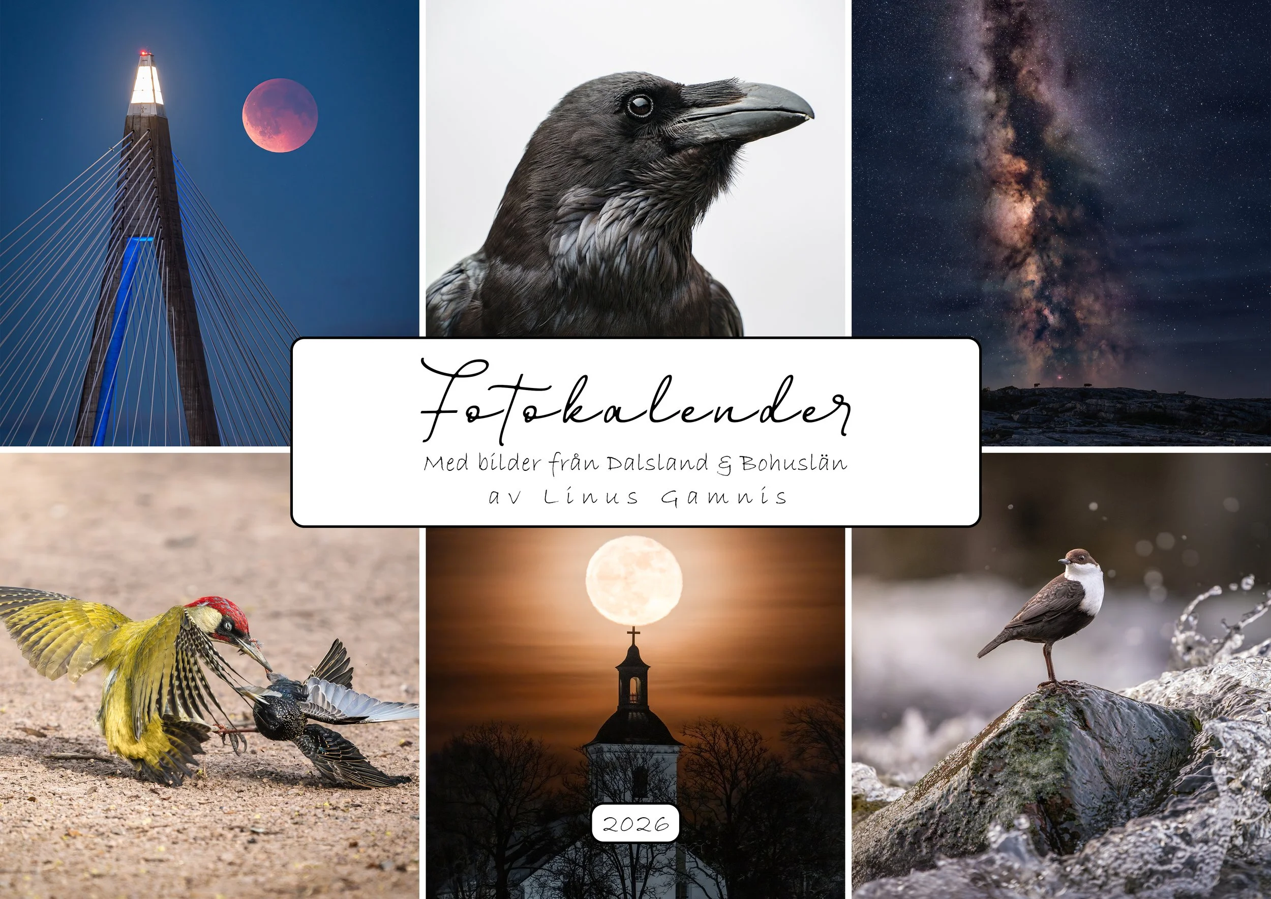 Fotokalender 2026 (Djur & Landskap)