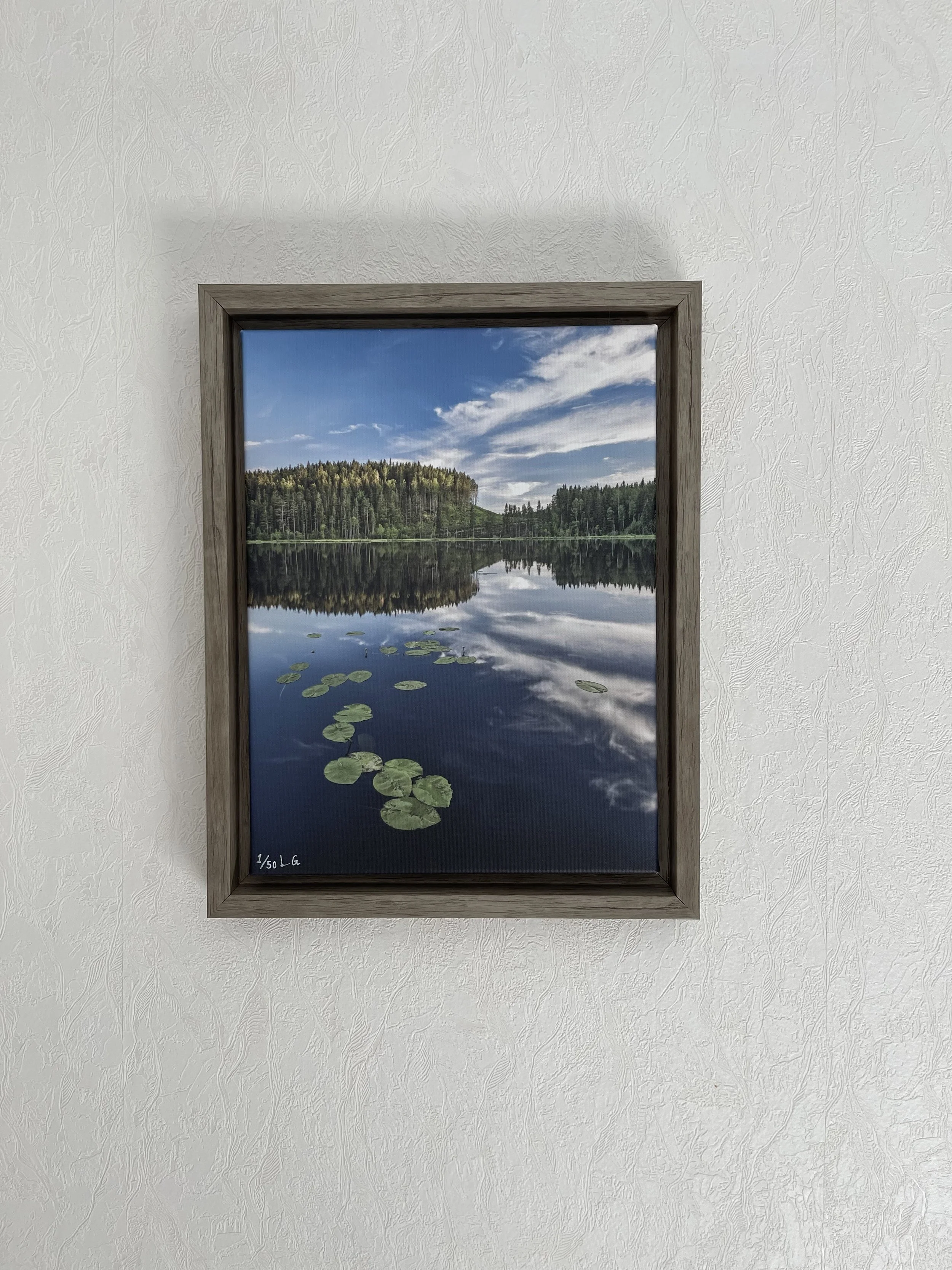 The Valley of the Water Lilies (46x36 cm)