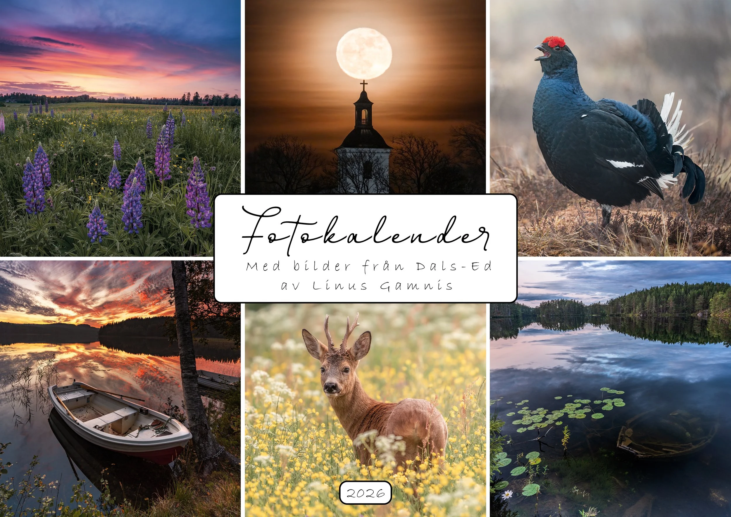 Fotokalender 2026 (Dals Ed)