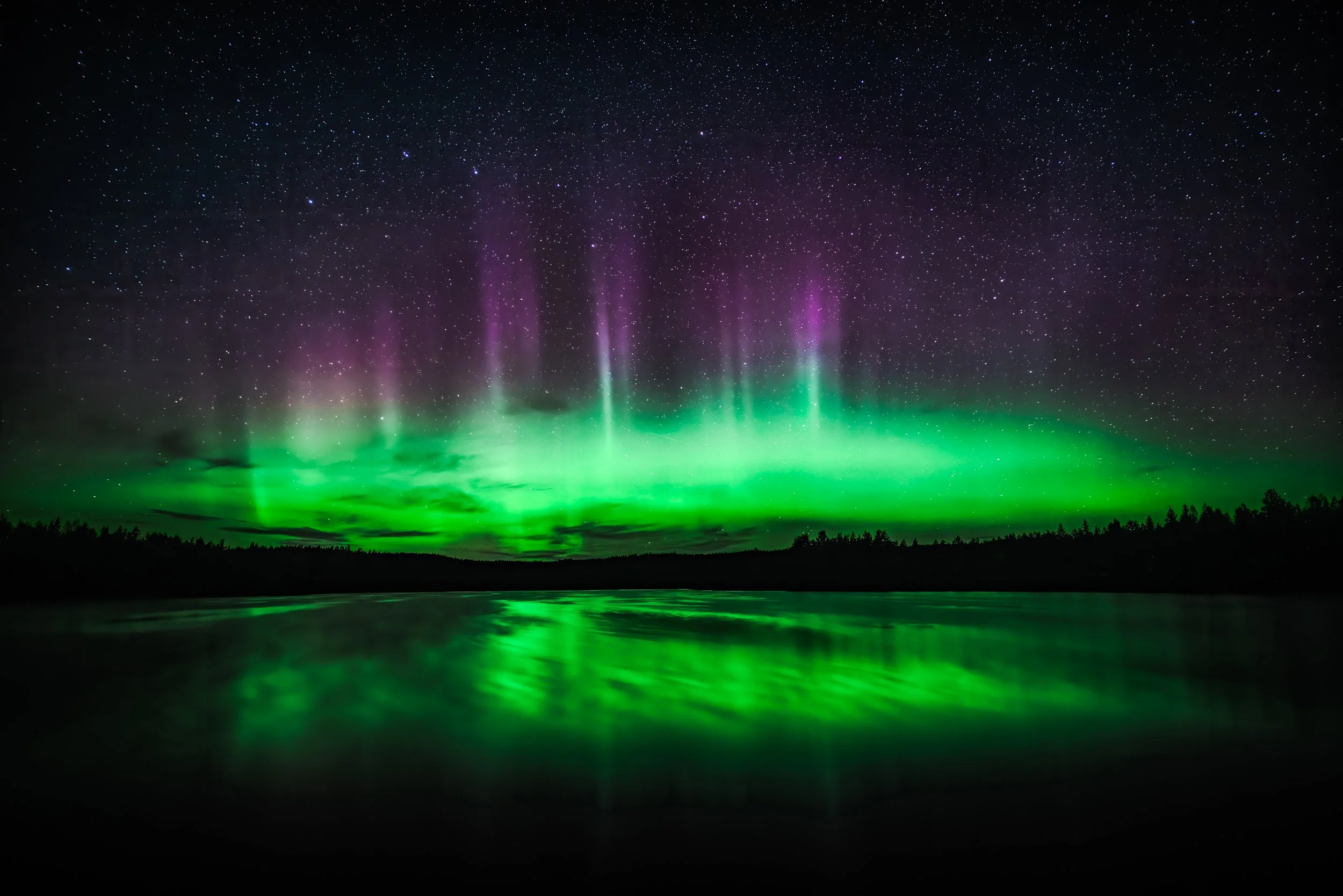 20211012 (219)-Redigera-Redigera-Redigera-2.JPG