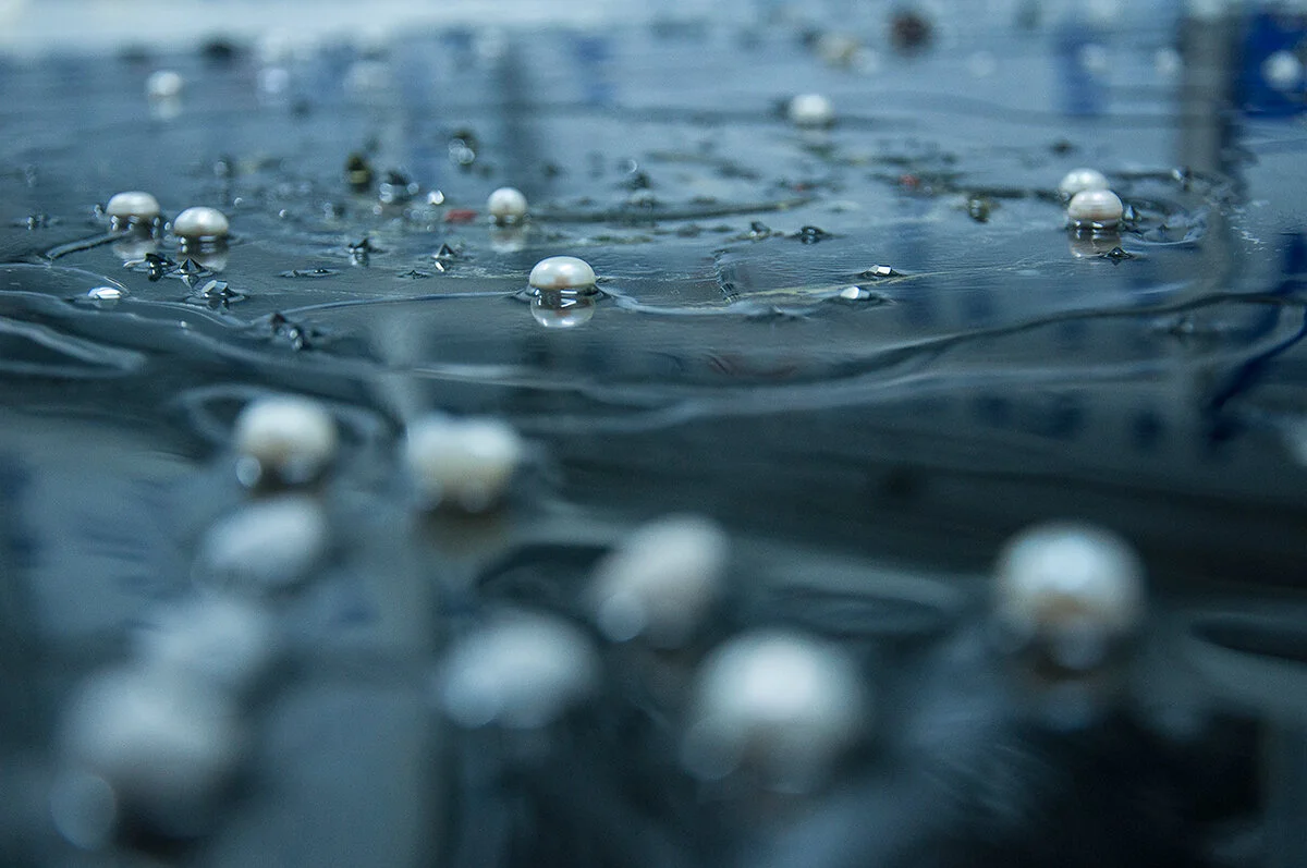 The epoxy resin is poured over the pearls. The coating not only enhances the brilliance of the pearl, but also provides a lifelong protection.