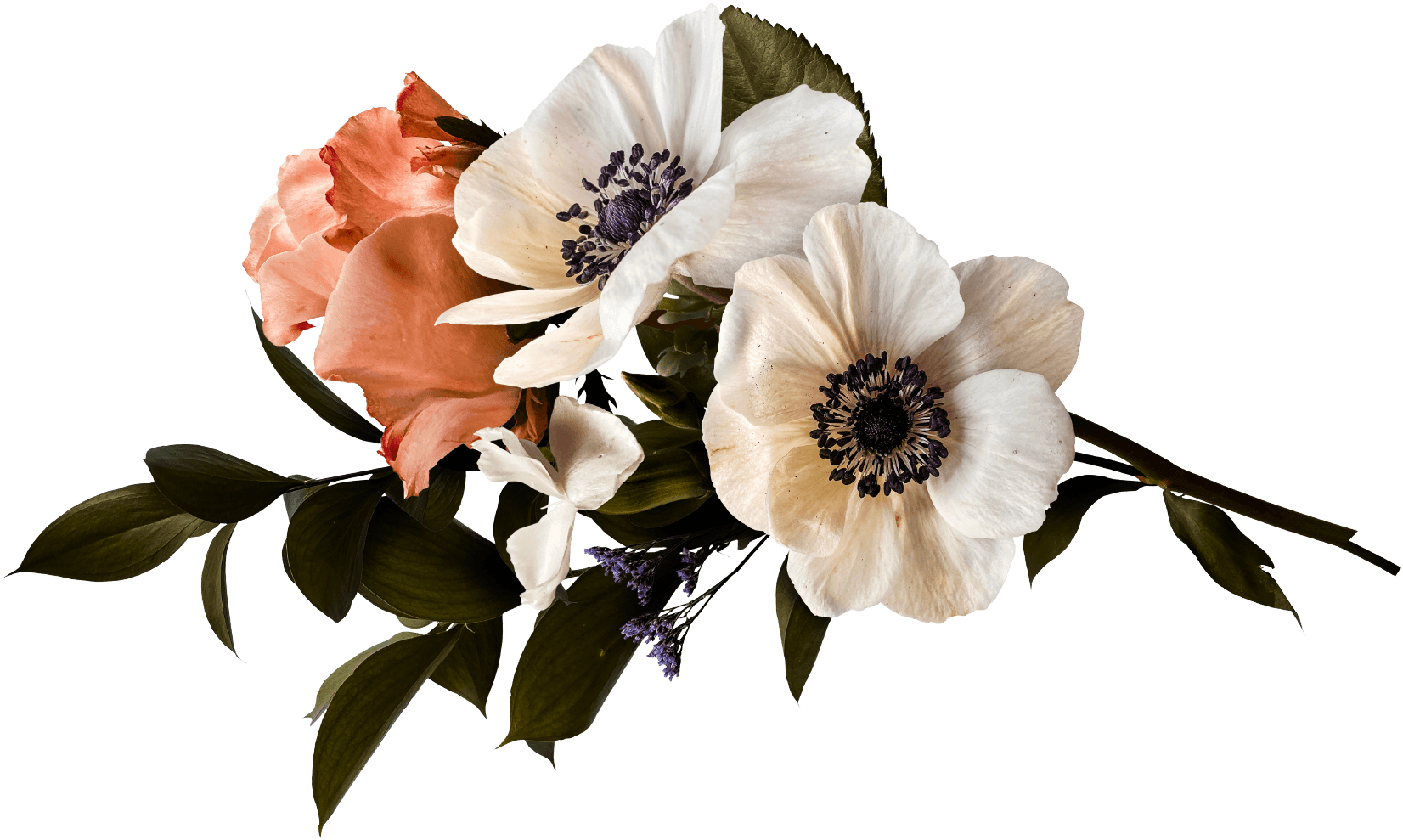 Bouquet of white and pink anemone flowers with green leaves
