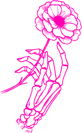 Outline of a skeleton hand holding a flower with leaves, drawn in pink.