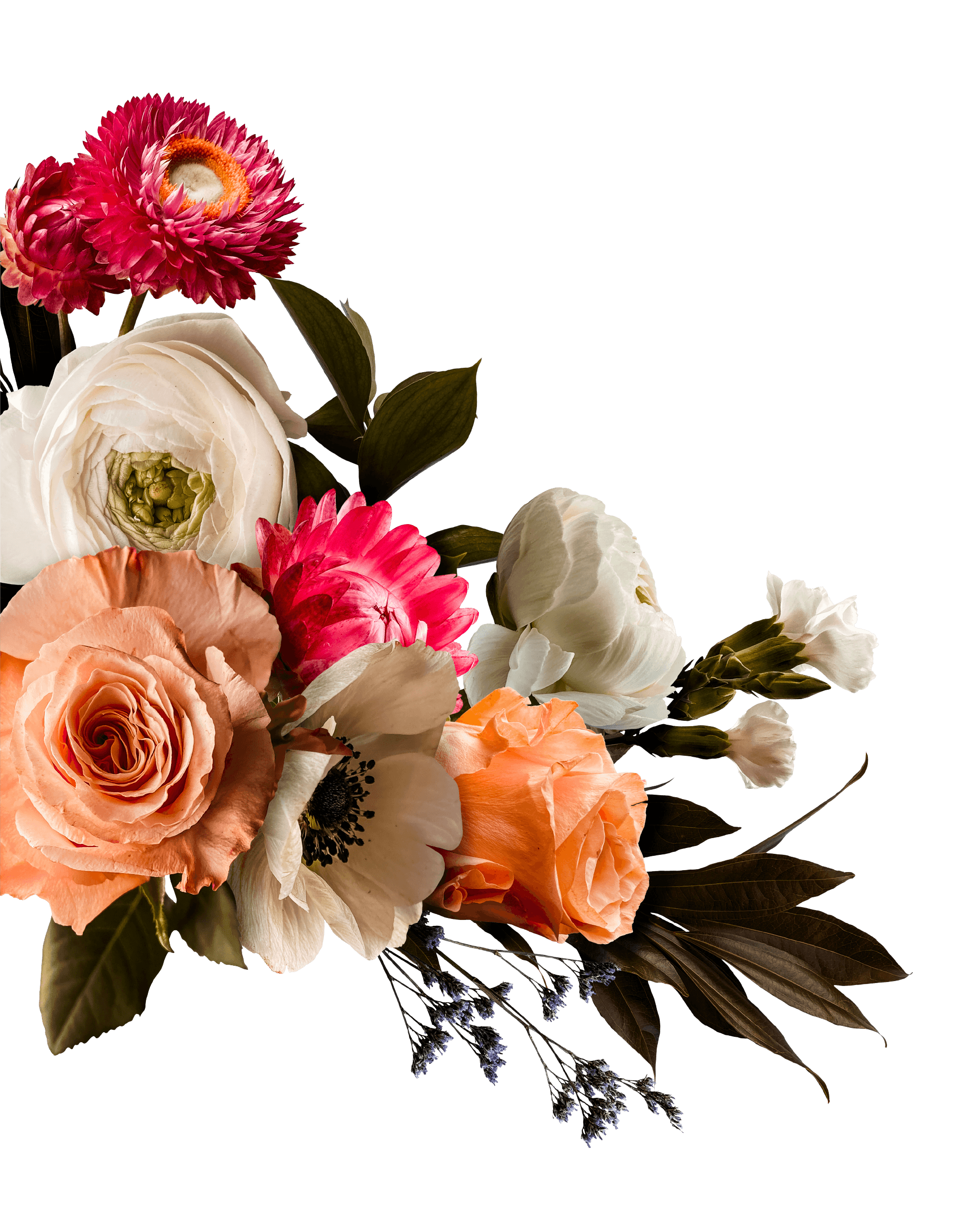 A floral arrangement with white roses, pink dahlias, peach roses, and small purple flowers with dark green leaves on a black background.