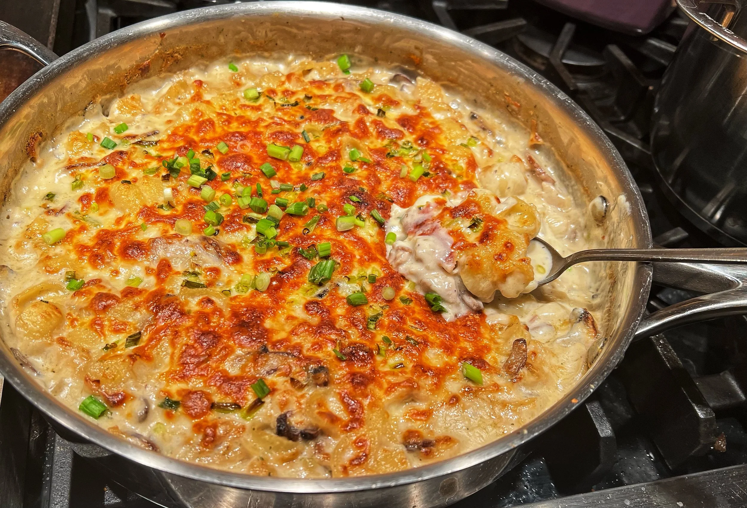 Turkey Tetrazzini with Shell Pasta