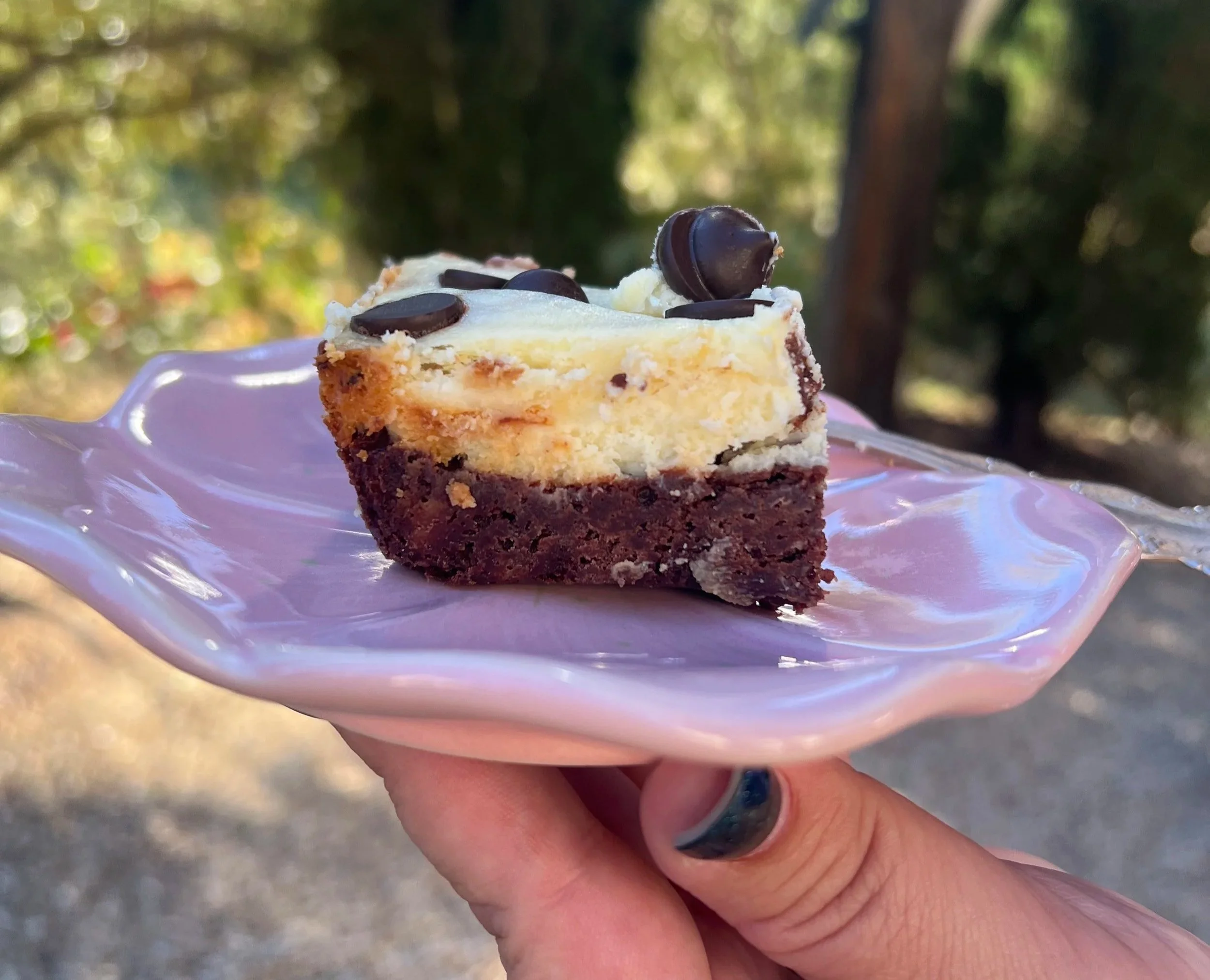 Chocolate Chip Cheesecake Brownie Bars