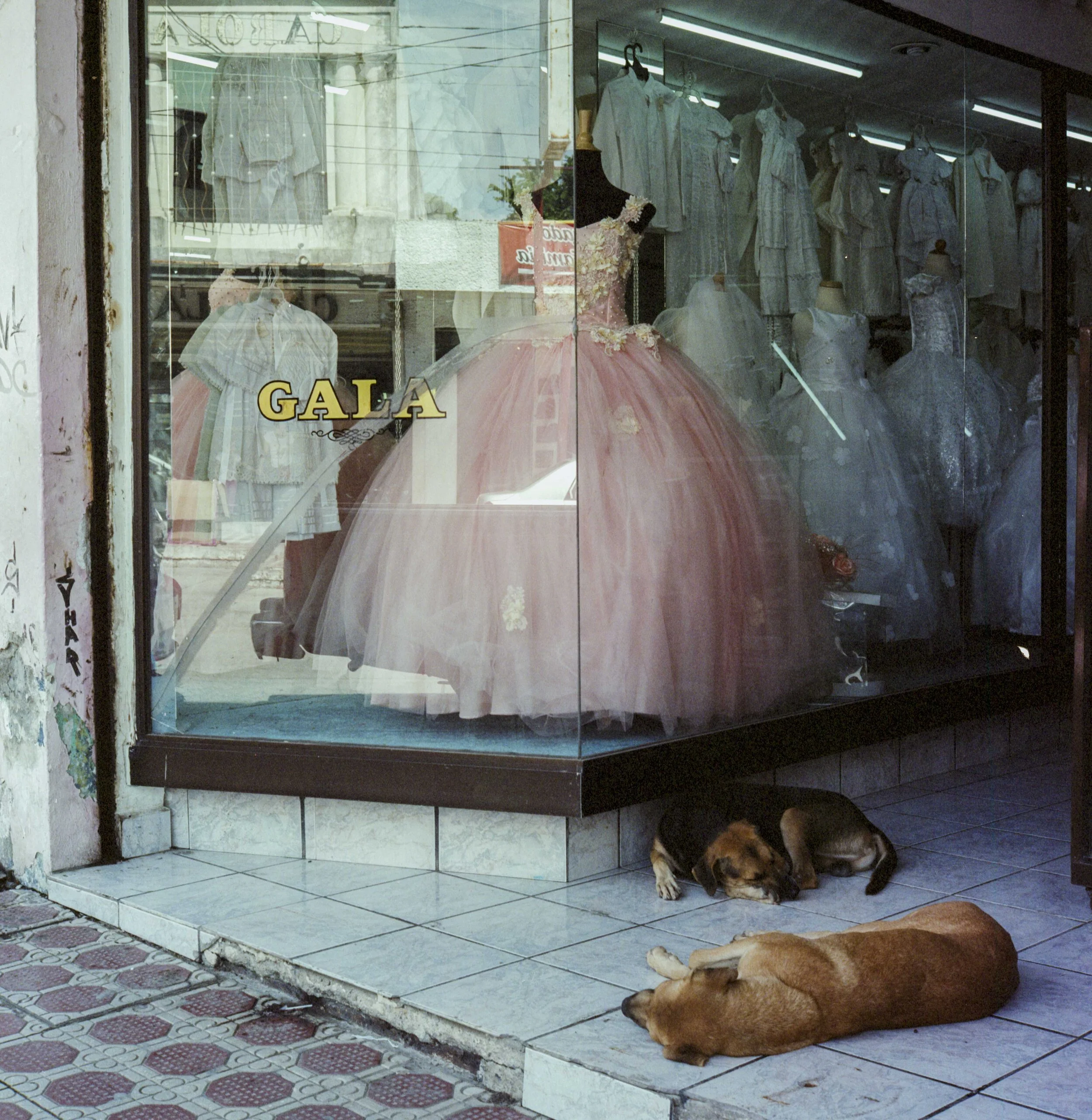 Contact Prints-39.jpg