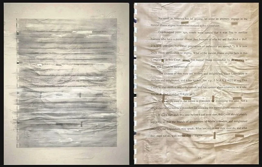 adam-daley-wilson-artist-placed-public-document-art-adam-daley-wilson-artist-the-local-rule-of-law-legal-ethics-text-based-conceptual-activist-art-adam-wilson-portland-maine-stanford-lawyer-2025