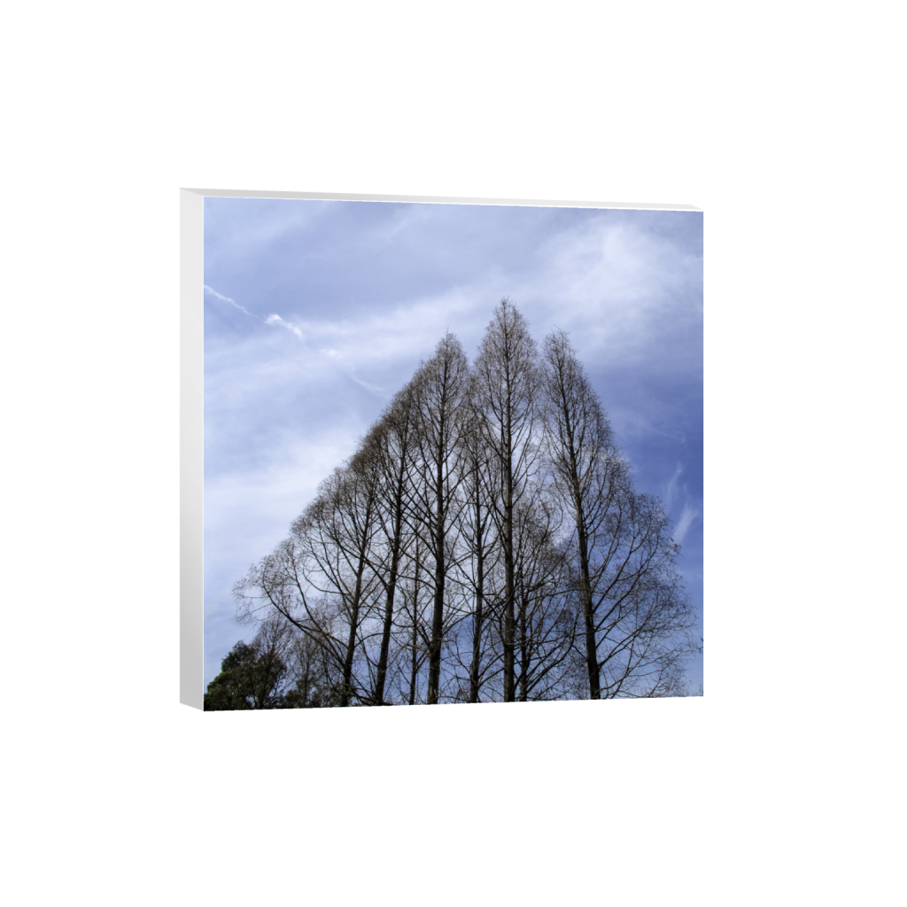ptq_7_0_839_0_6624_6624_0_false_ffffff_0_0_.png