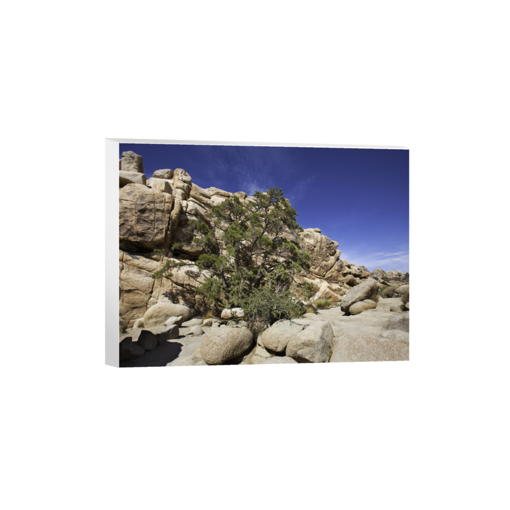 ptq_7_5_519_0_7765_5824_0_false_ffffff_0_0_.png