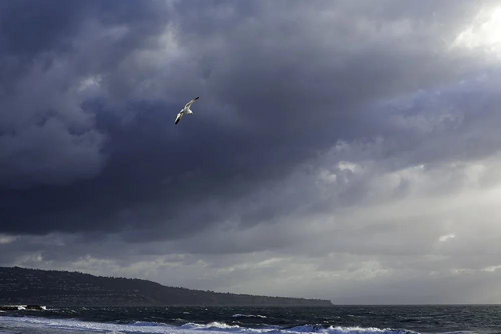 Seagull &amp; Stormlight: A Coastal Moment from Hermosa Beach Pier