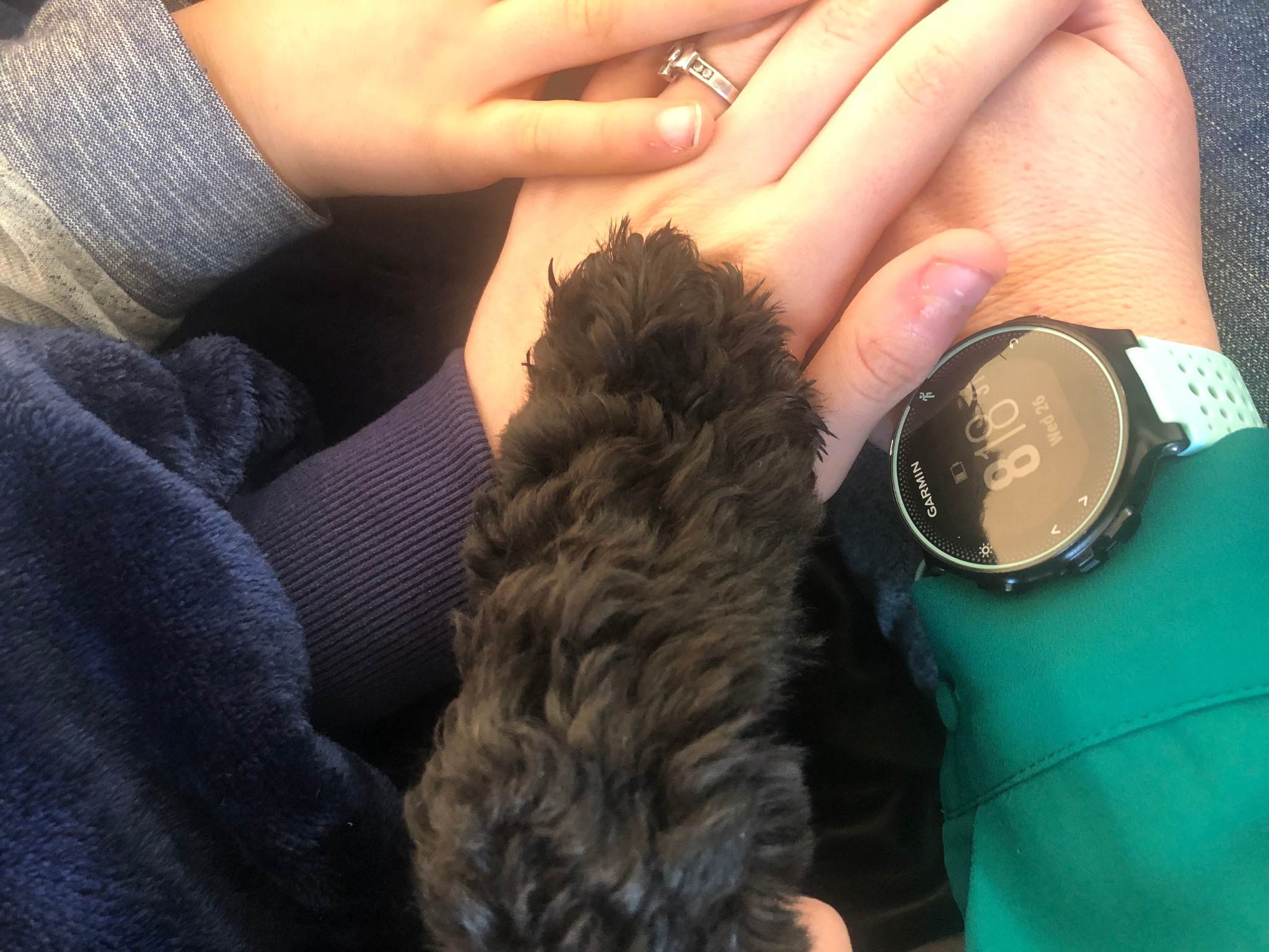 Supporting children through the loss of a pet