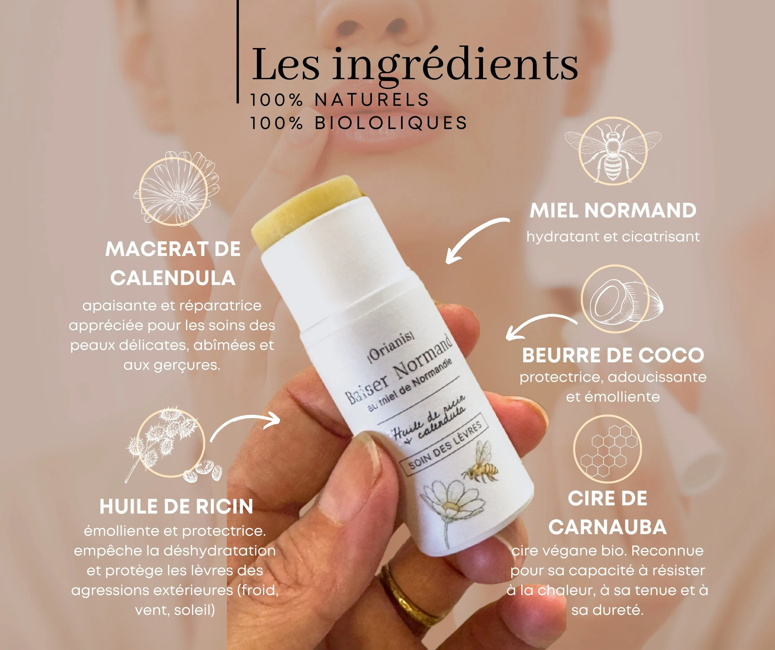 BAUME A LEVRES FT.jpg