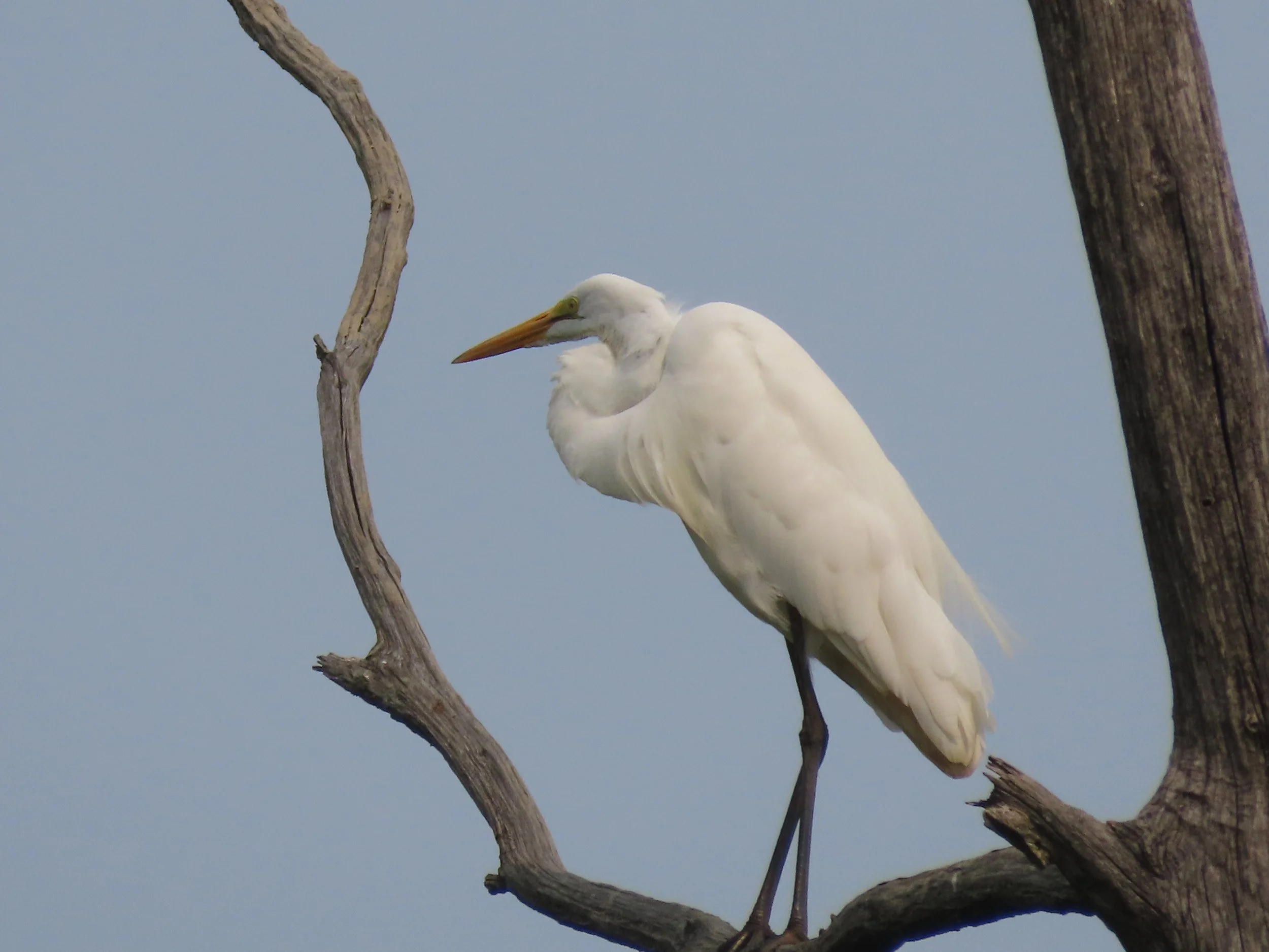 In the Frame 10"x14", printed on metal