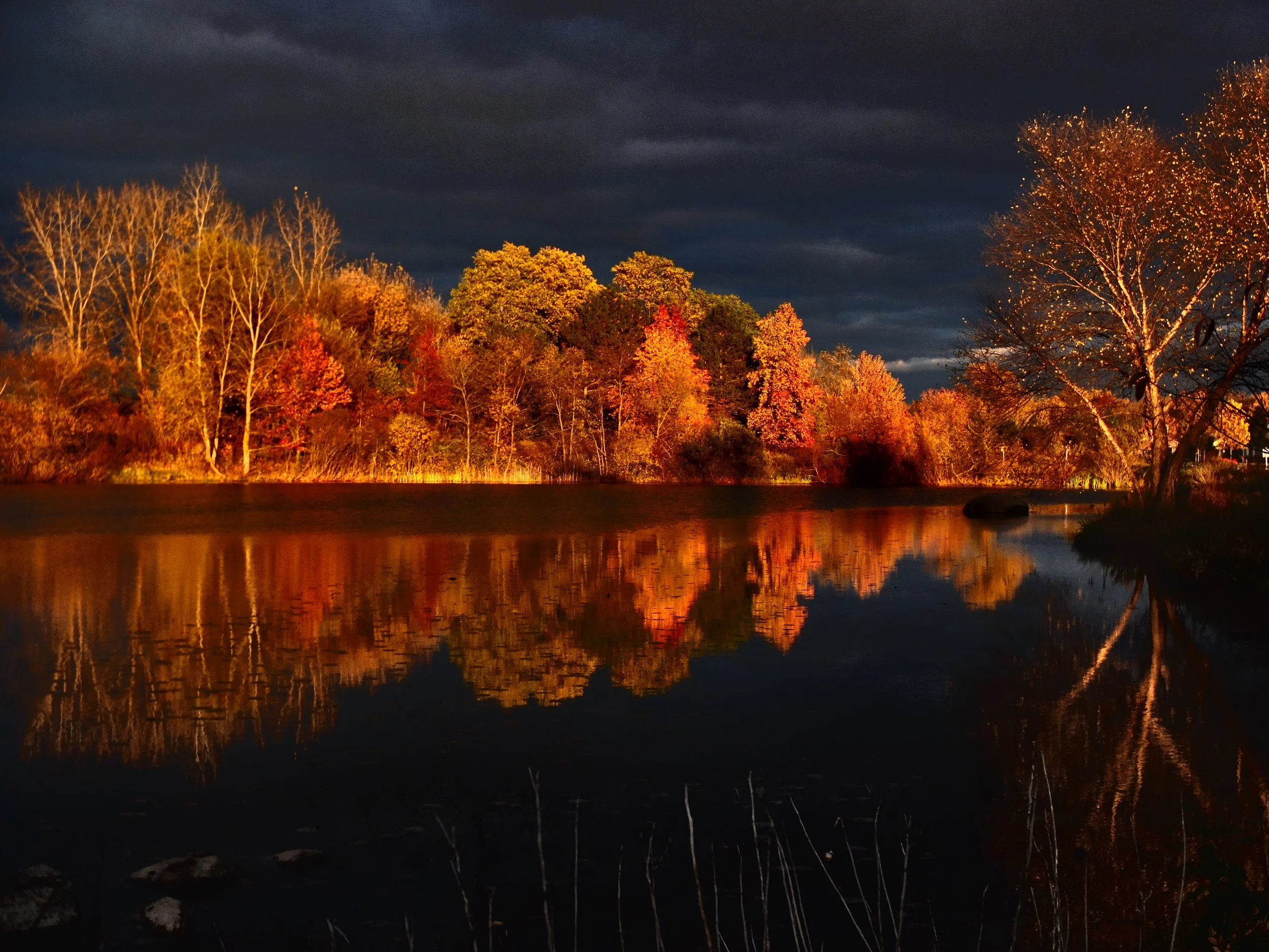 Sunset Reflections 10"x14", printed on metal