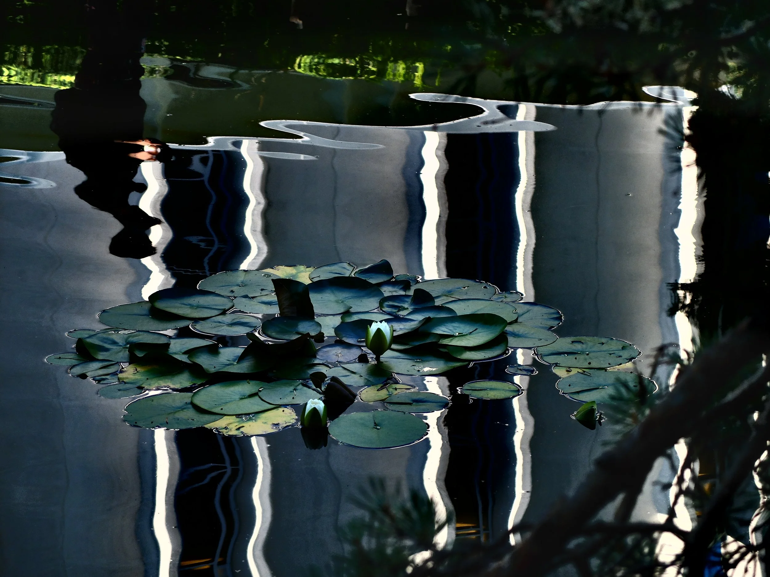 Genesis 10"x14", printed on metal