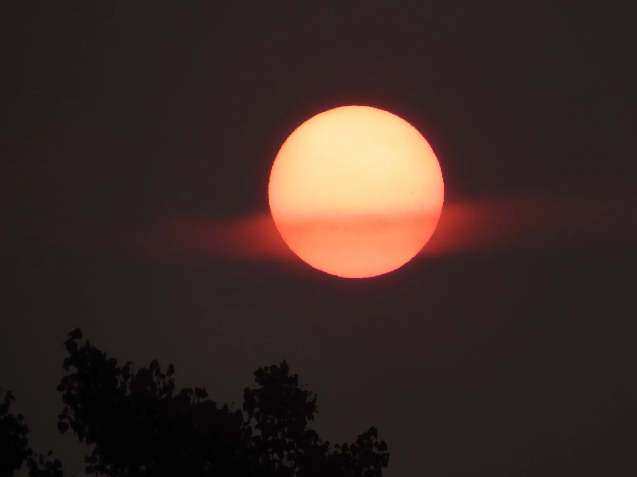 Tequila Sunrise 10"x14", printed on metal