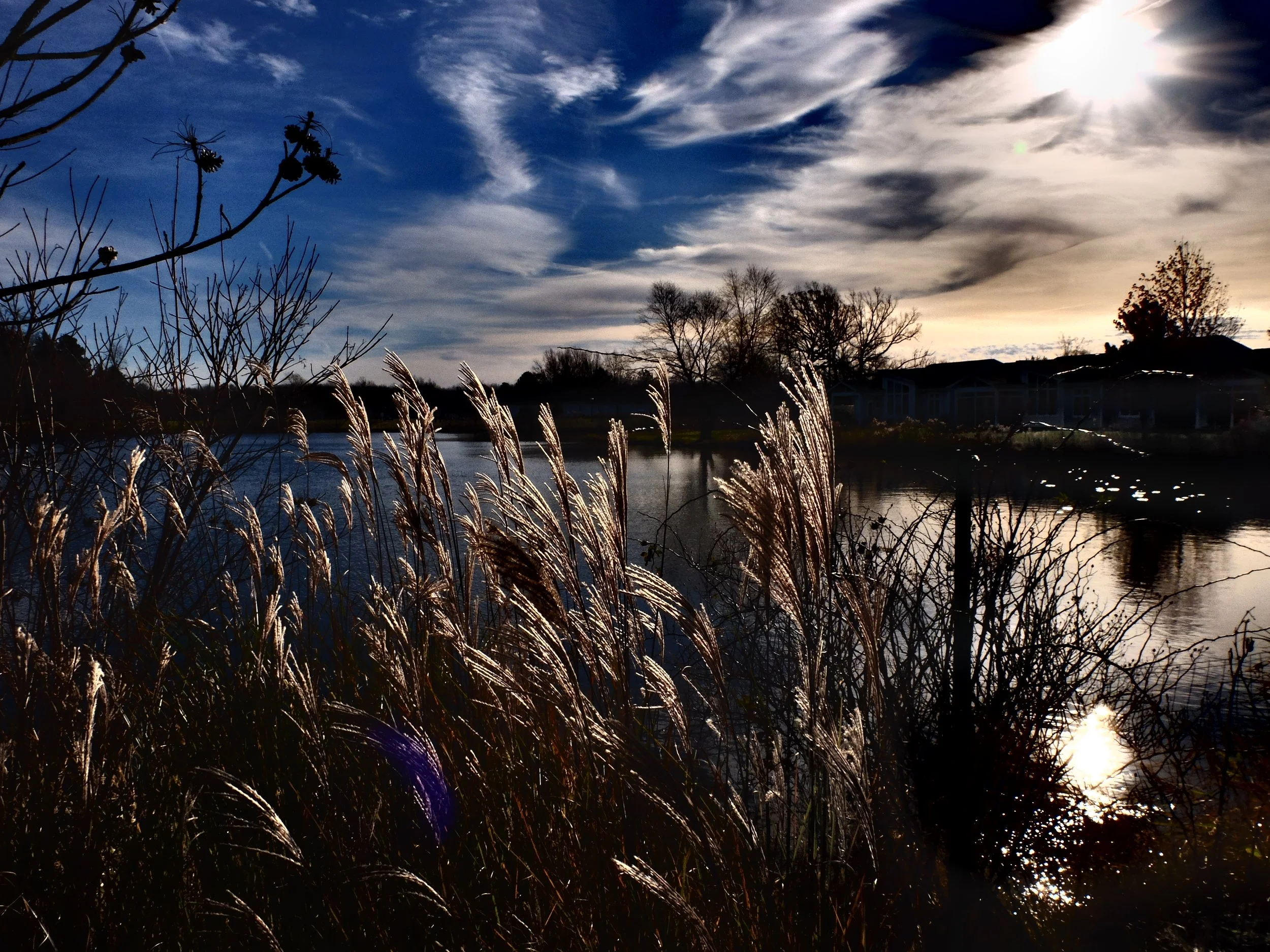 Water's Edge 16"x20", printed on canvas
