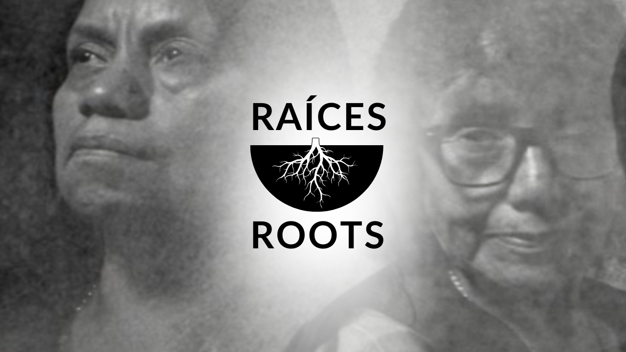 Raíces: Roots — FAVA Gallery