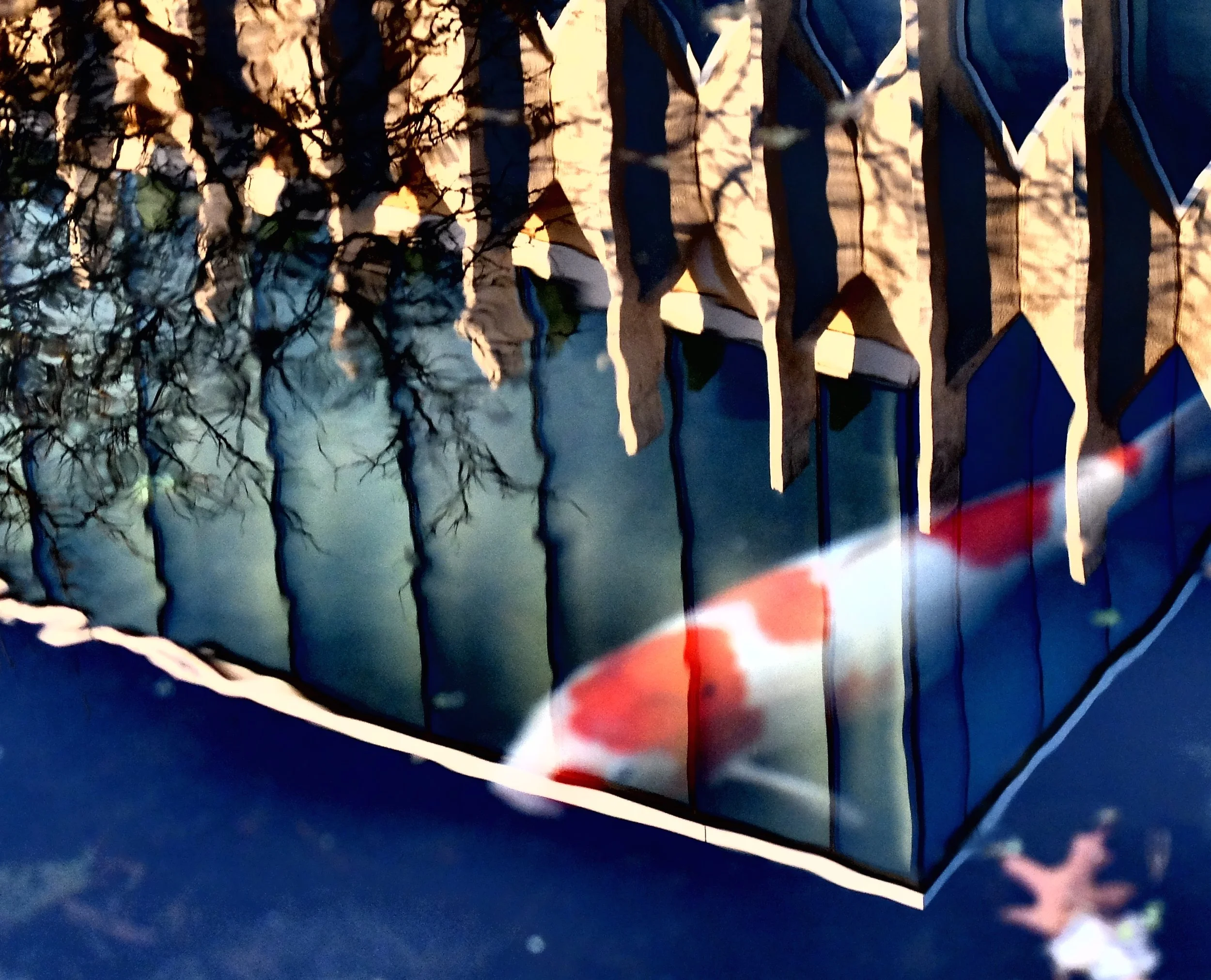 Ghost Fish 10"x14", printed on metal