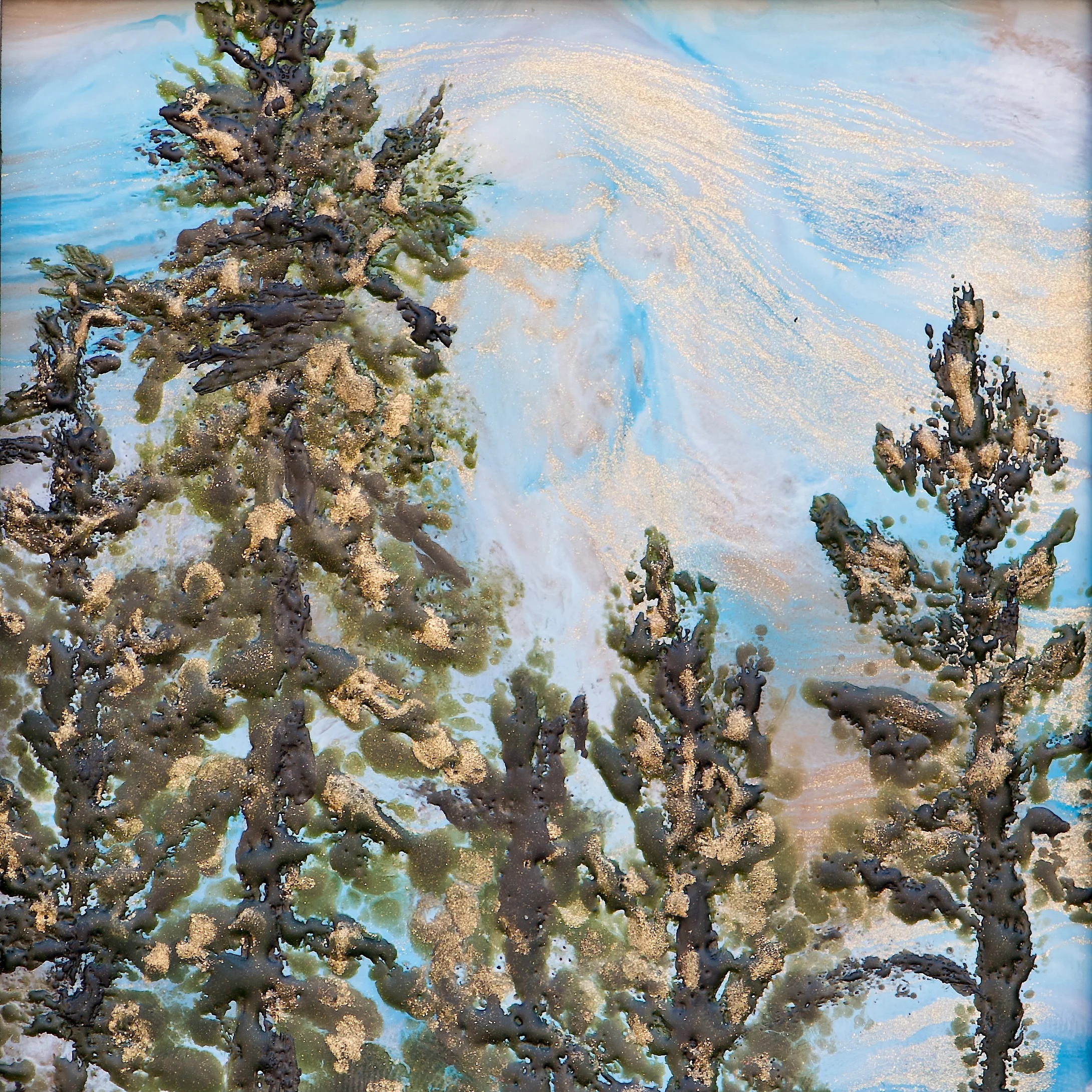Jack Pine Whispers