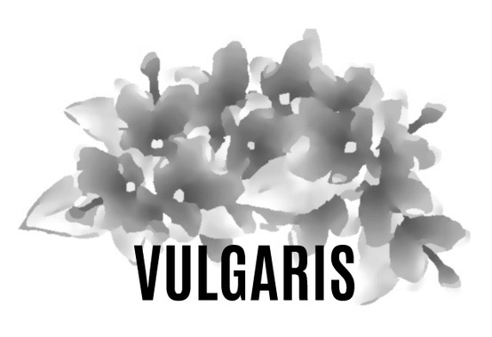 Published in Vulgaris Magazine