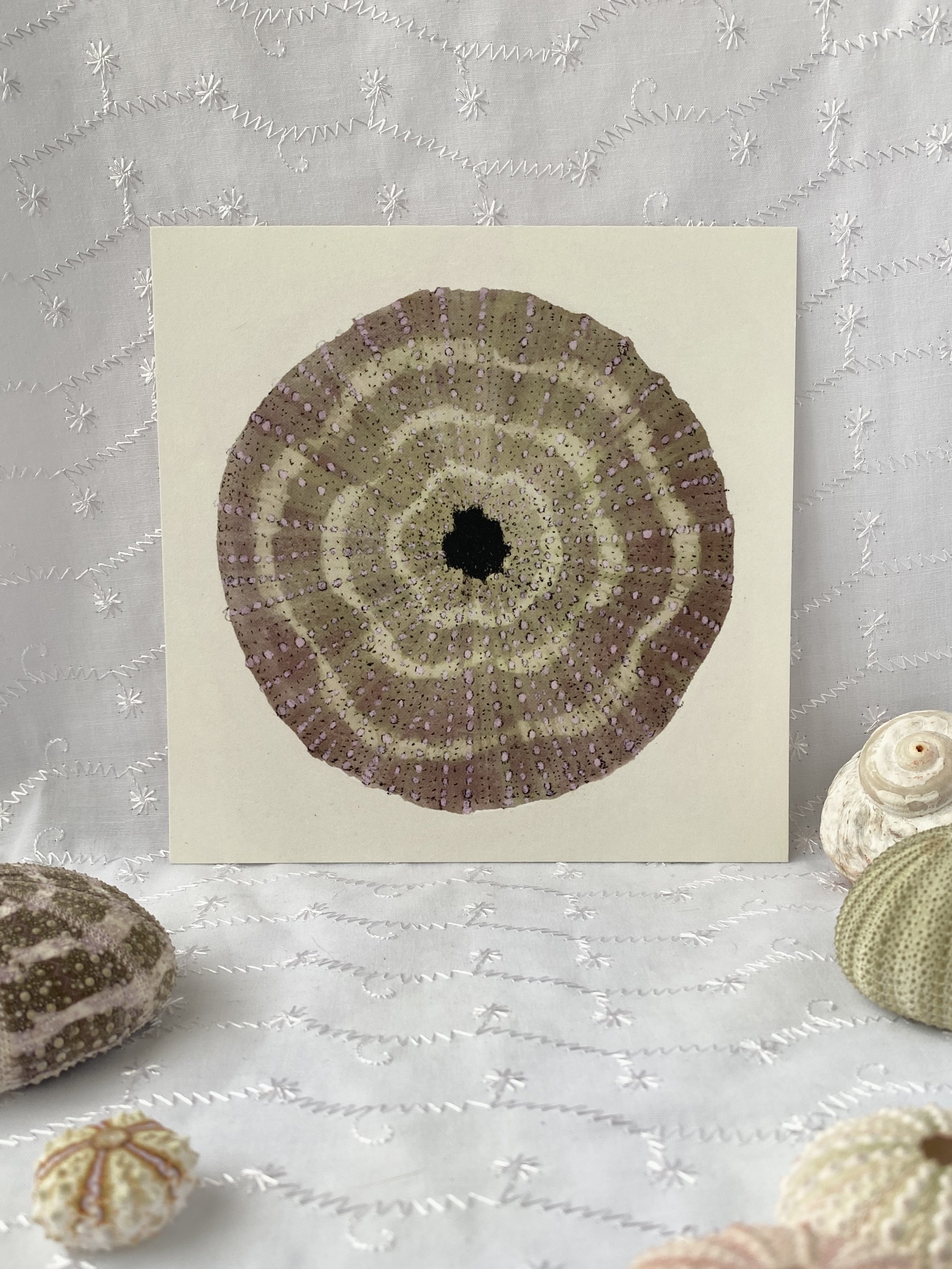 Urchin Print