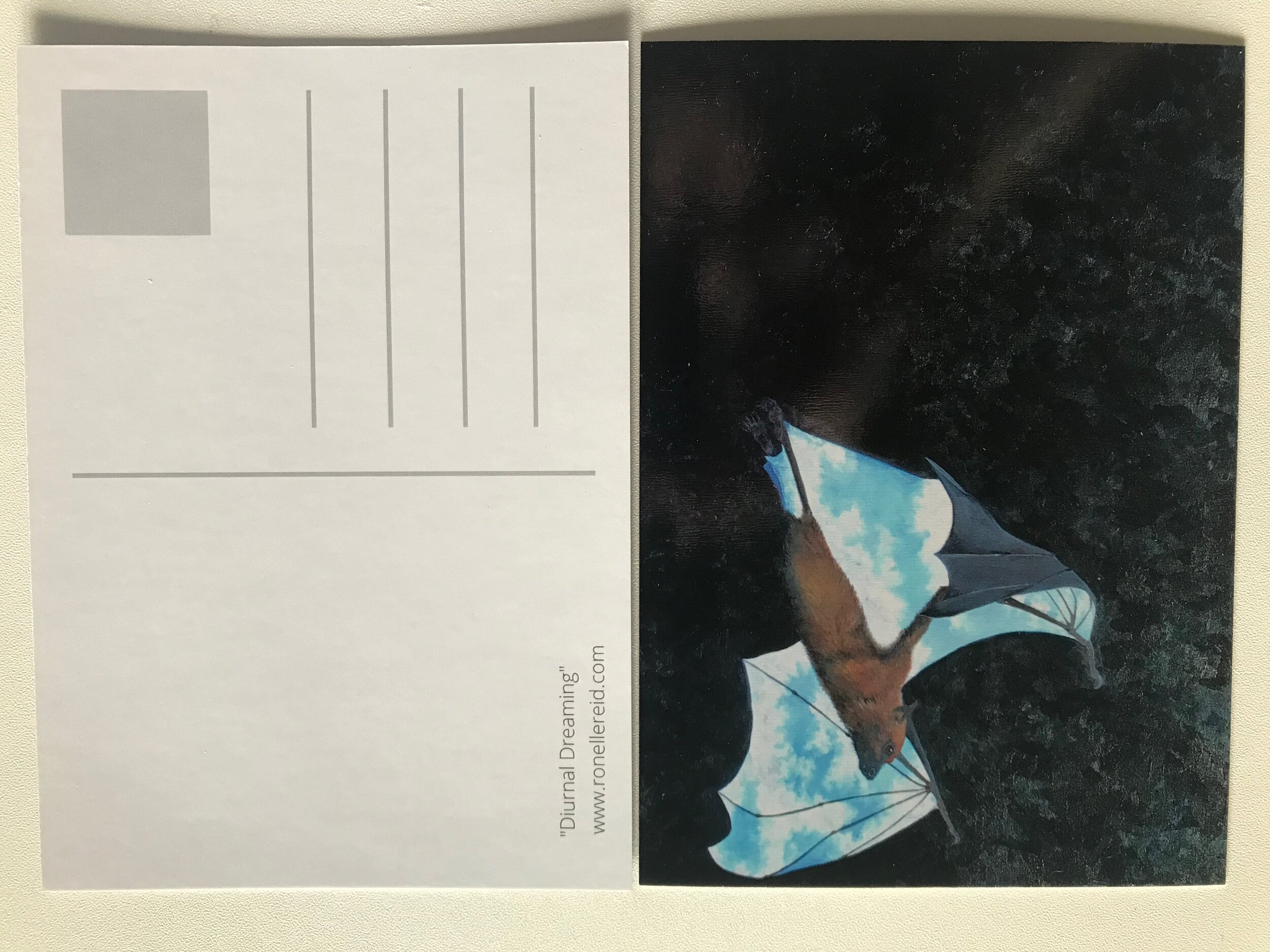 postcard depicting original artwork of a flying fox bat with blue sky on the underside of it's wings