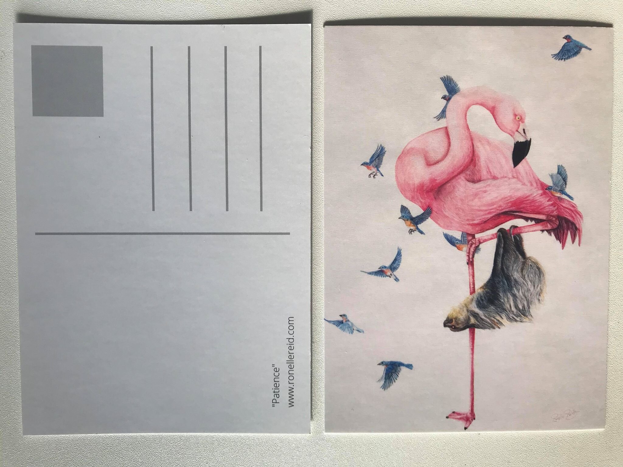 postcard depicting original artwork of a flamingo with a sloth hanging from it's leg and blue birds flying by