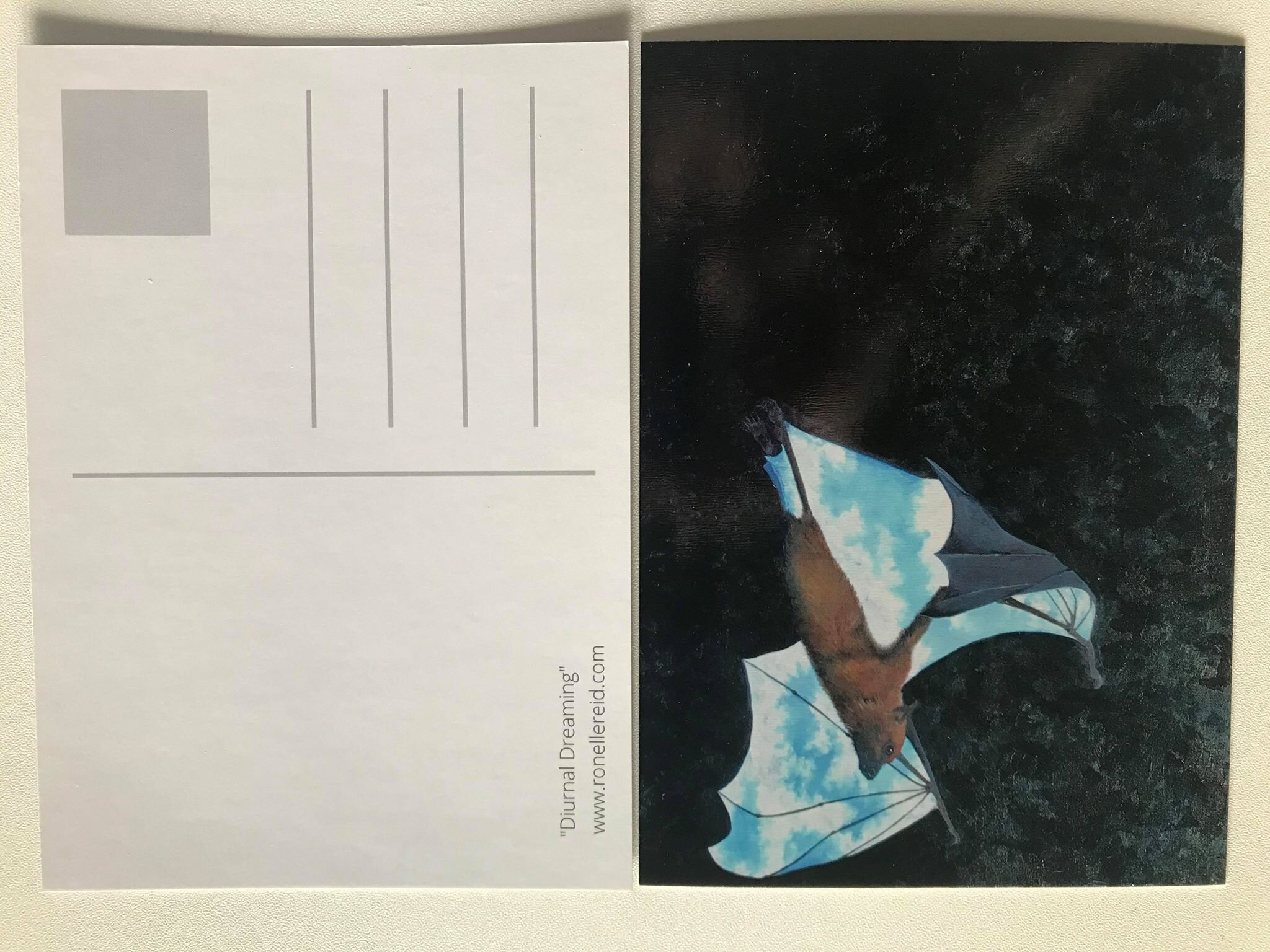 postcard depicting original artwork of a flying fox bat with blue sky on the underside of it's wings