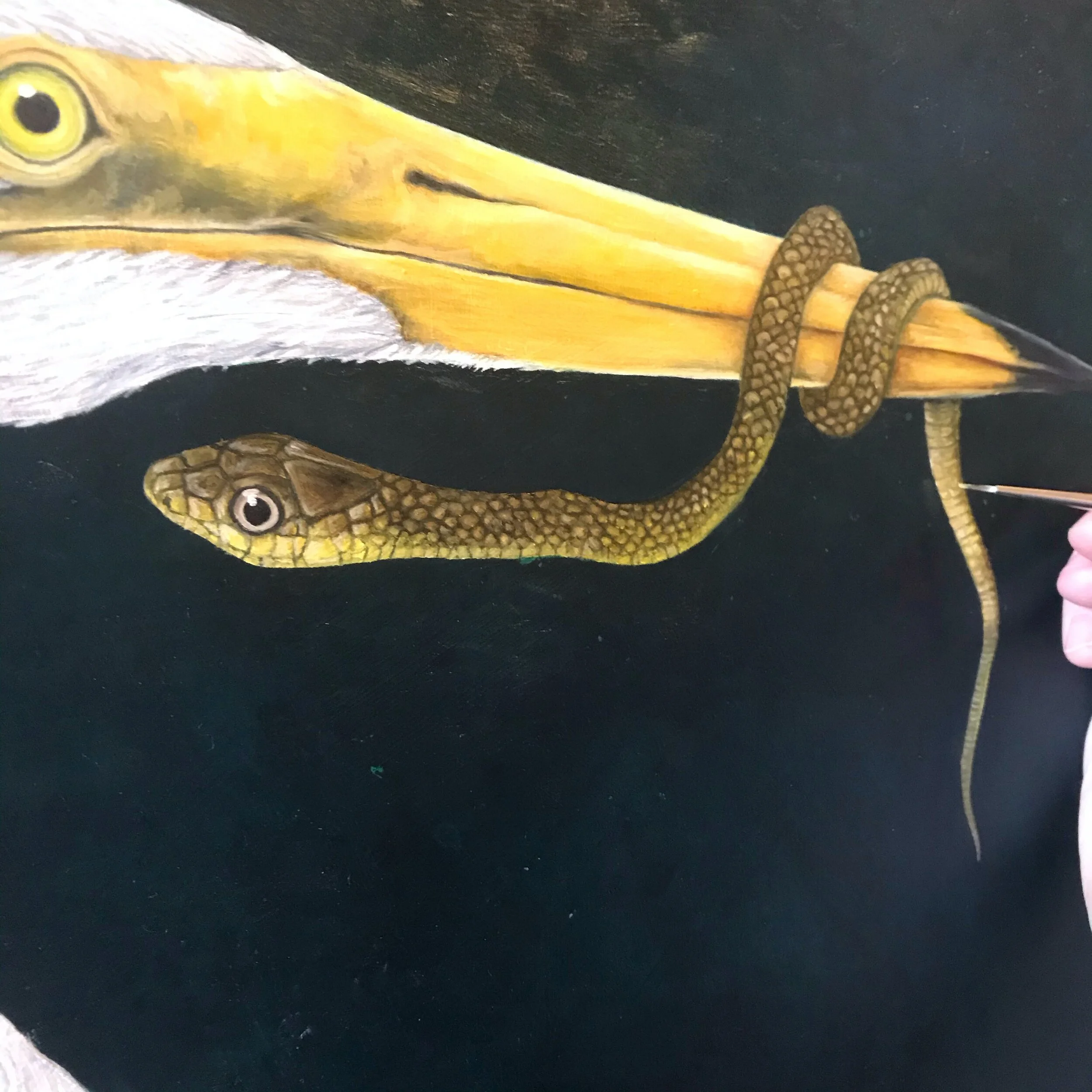 Painting all those scales. Living on a rural property i am lucky to have a carpet python that lives in the roof cavity of our house. I had a few snake skins to use to help as a reference when I was painting the scales.