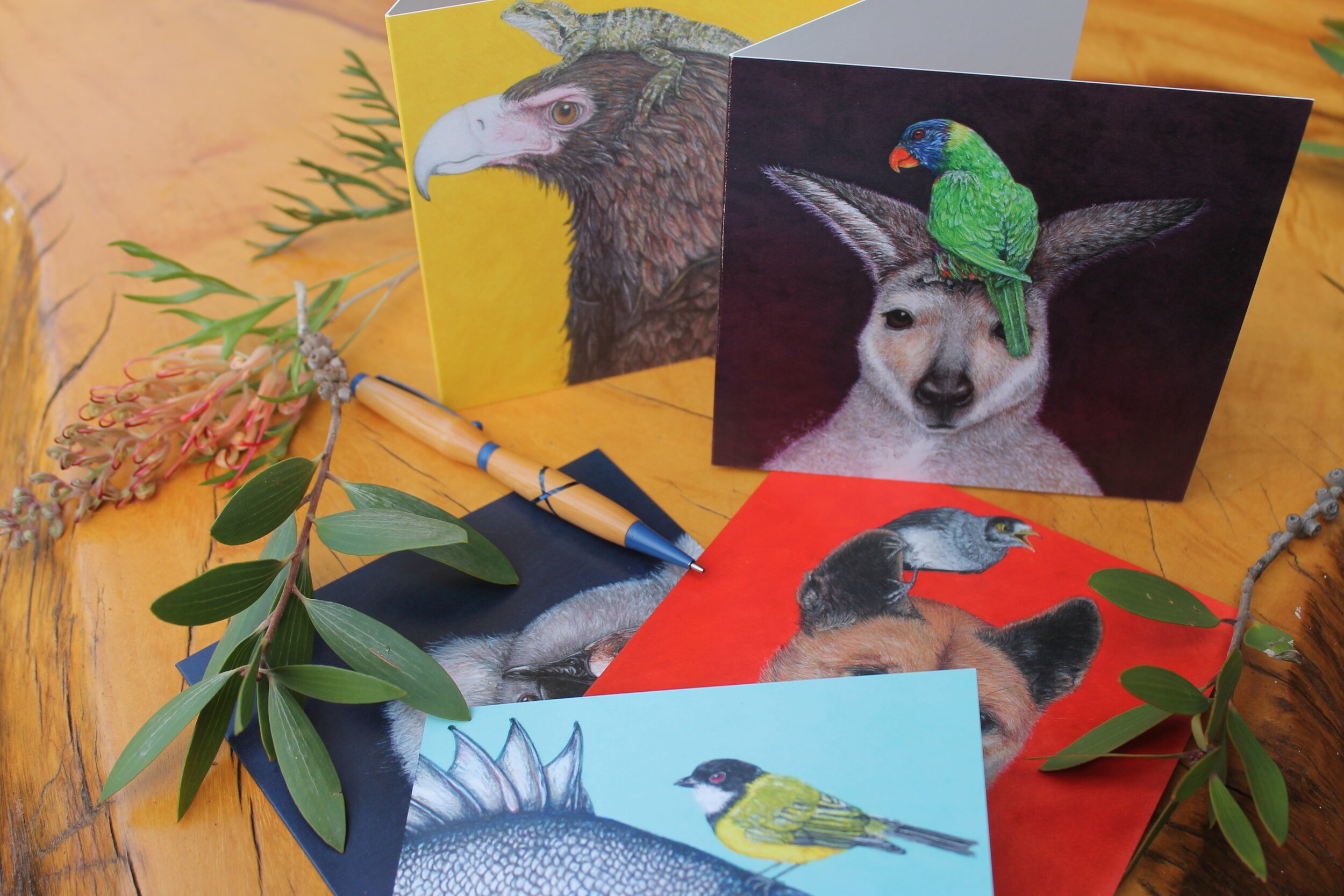 pack of 5 greeting cards depicting Australian wildlife in unique collections