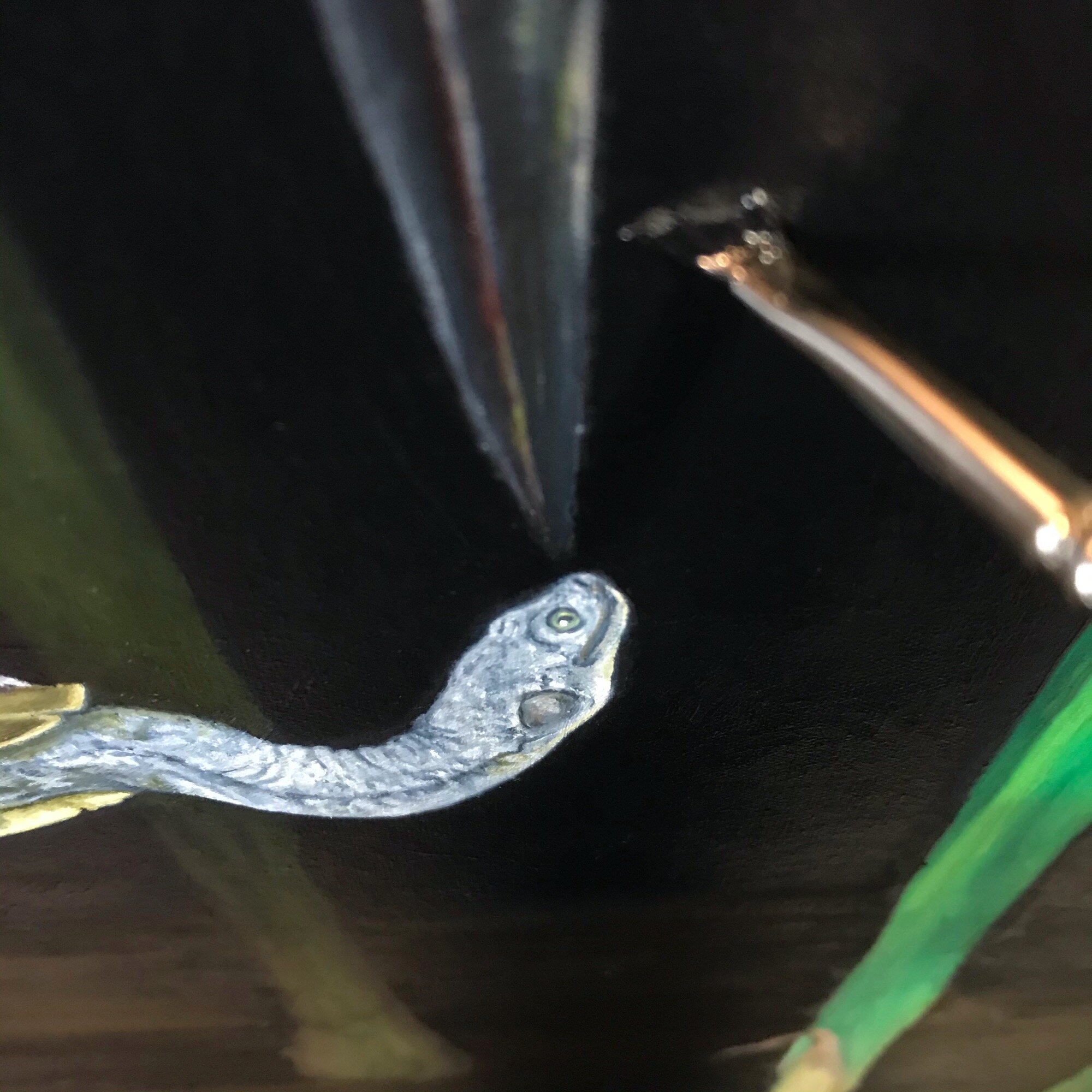 close up of turtles face in an oil painting