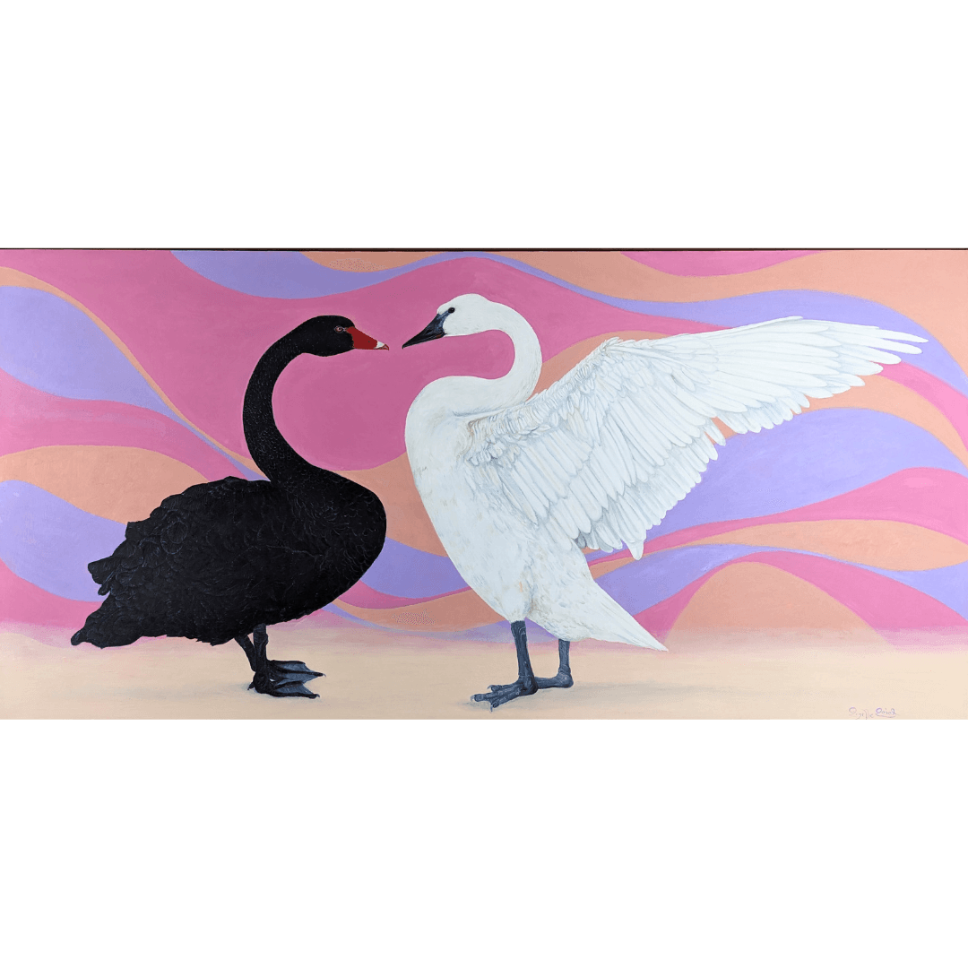The Impossible swans compressed .png