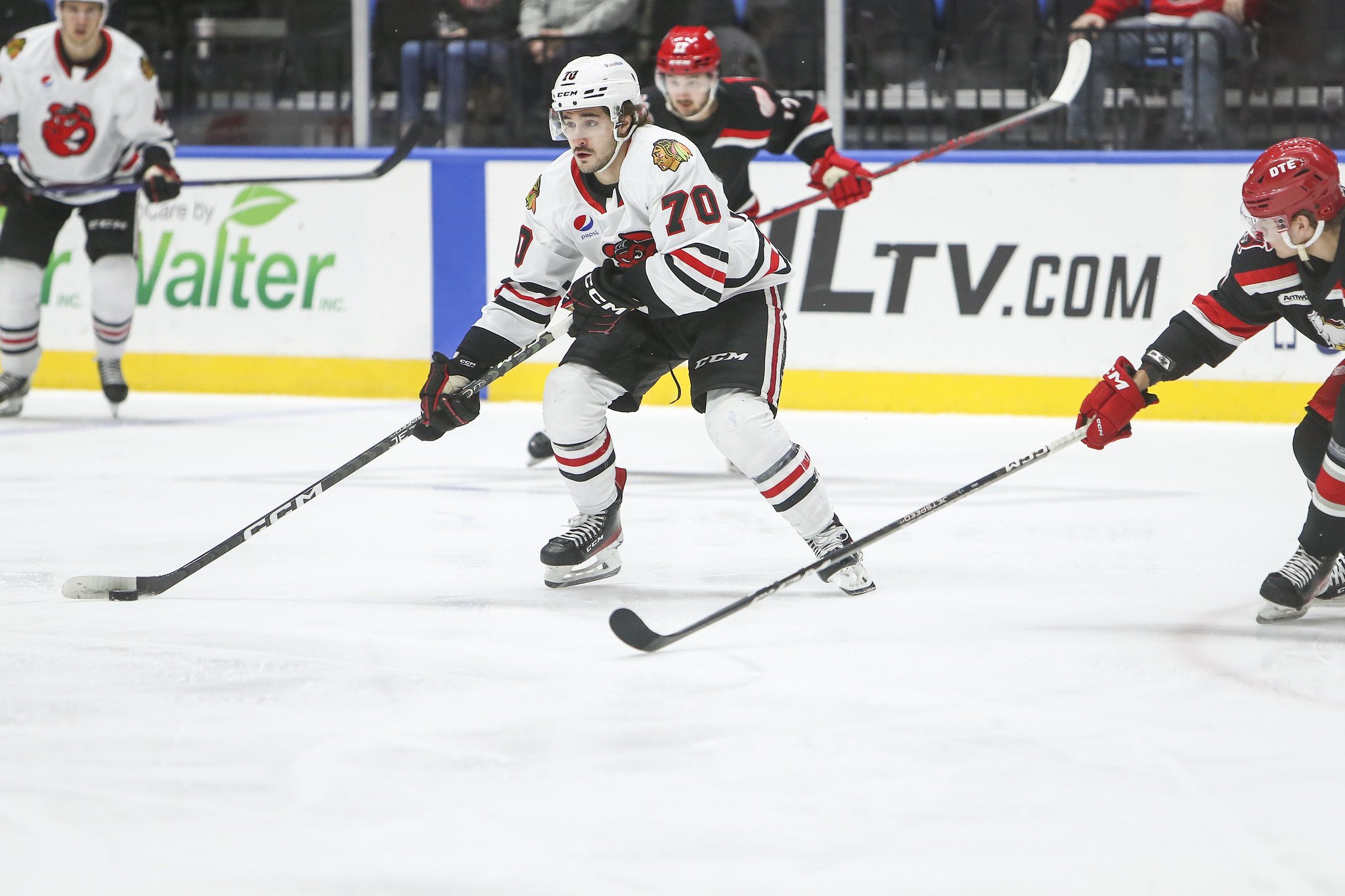 AHL hockey: What you need to know for Rockford IceHogs 2021-22 season
