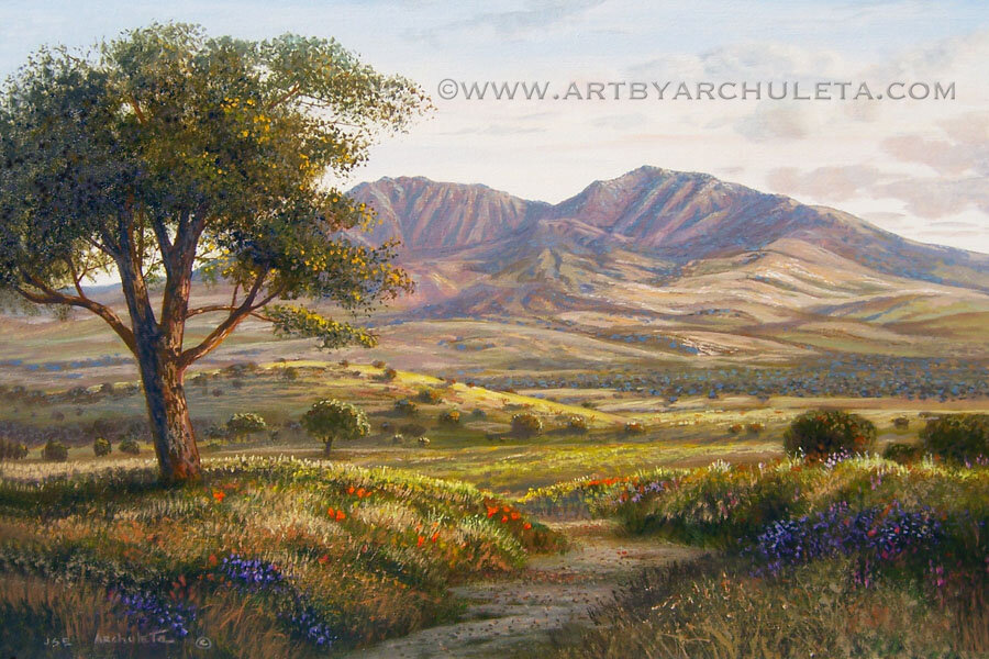 Mt Diablo From Concord
