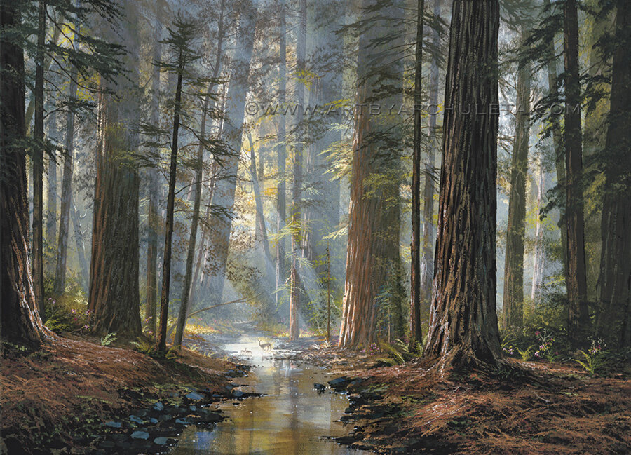 Cathedral Forest