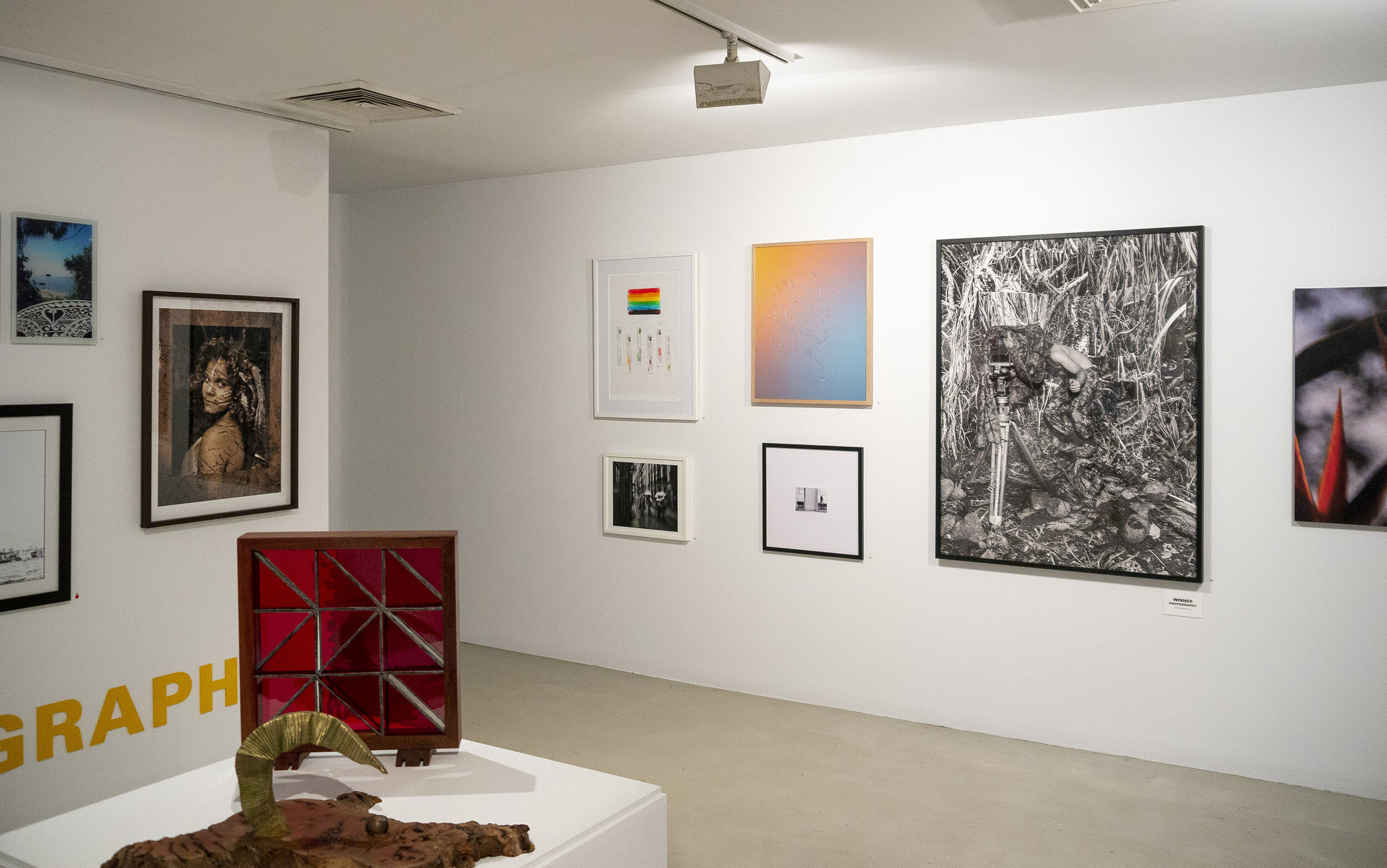  Installation view  Fisher’s Ghost Award  2019 at Campbelltown Arts Centre. Photo: courtesy of SGR. 