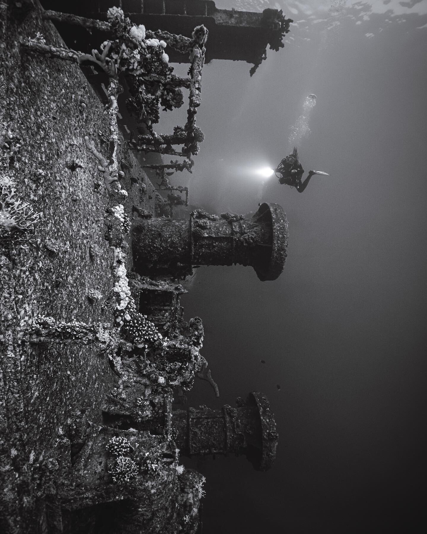 Trying some black and white photography of the cedar pride wreck.

Thanks to @deepbluedivecenter for all the logistics and the amazing support ☺️

#wetpixel #divessi #nauticamhousings #underwatercamera #coldwaterdiving #ssi #divelife #scubadiving #sp